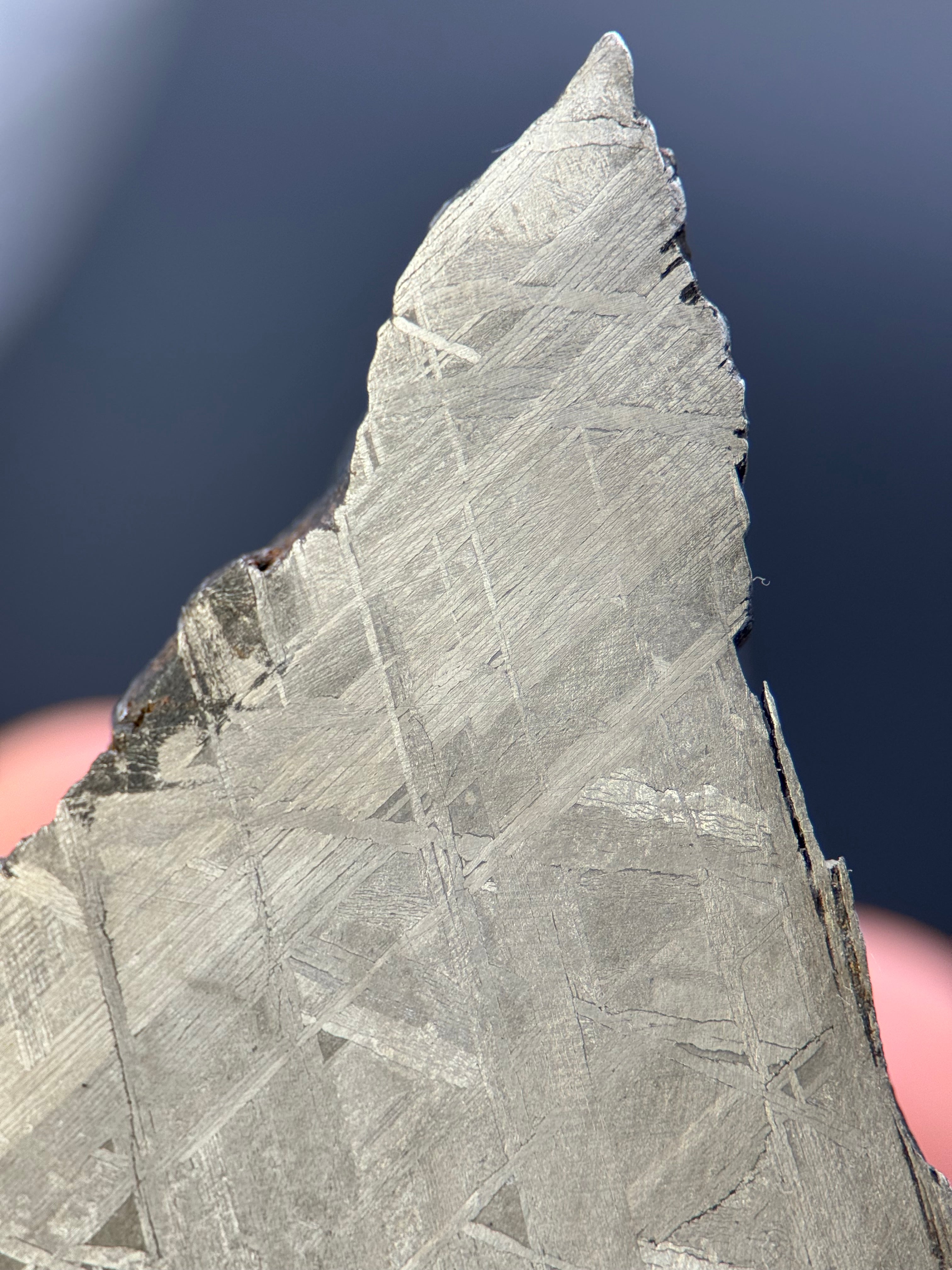 MUONIONALUSTA METEORITE, SWEDEN. 213 GRAMS END-CUT.