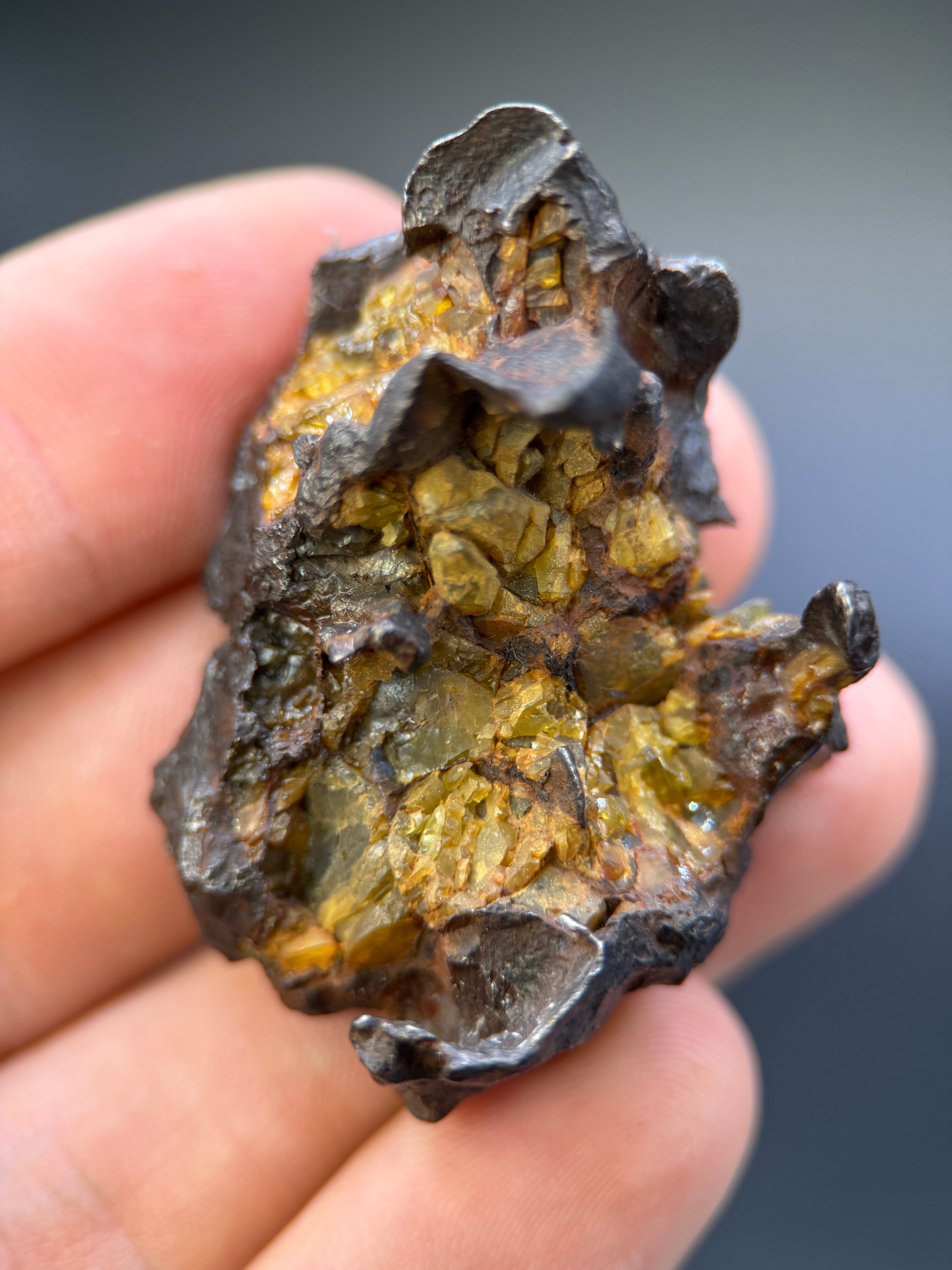 IMILAC PALLASITE METEORITE, END CUT, CHILE. 44,7 GRAMS.