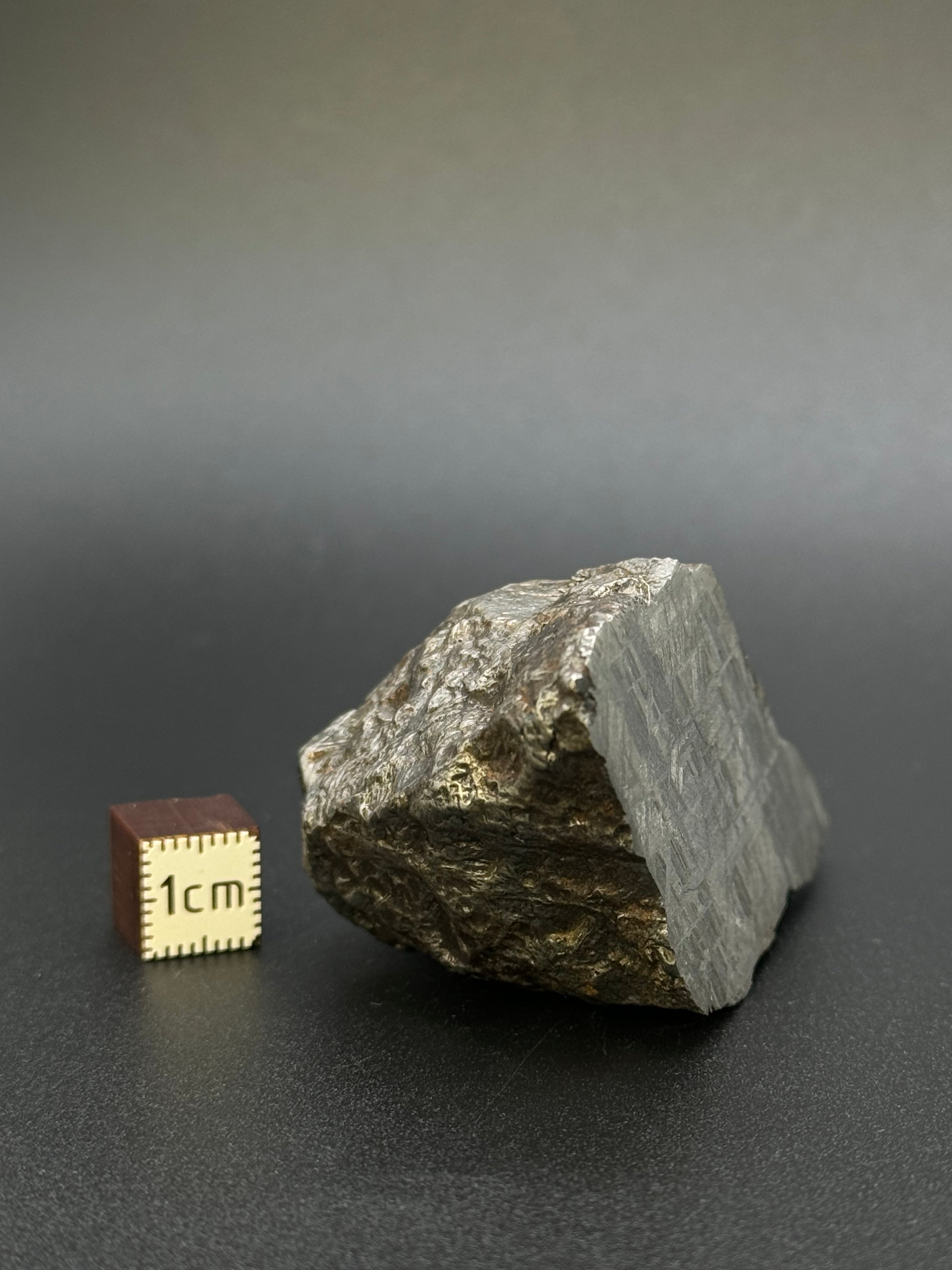 MUONIONALUSTA METEORITE, SWEDEN. 213 GRAMS END-CUT.