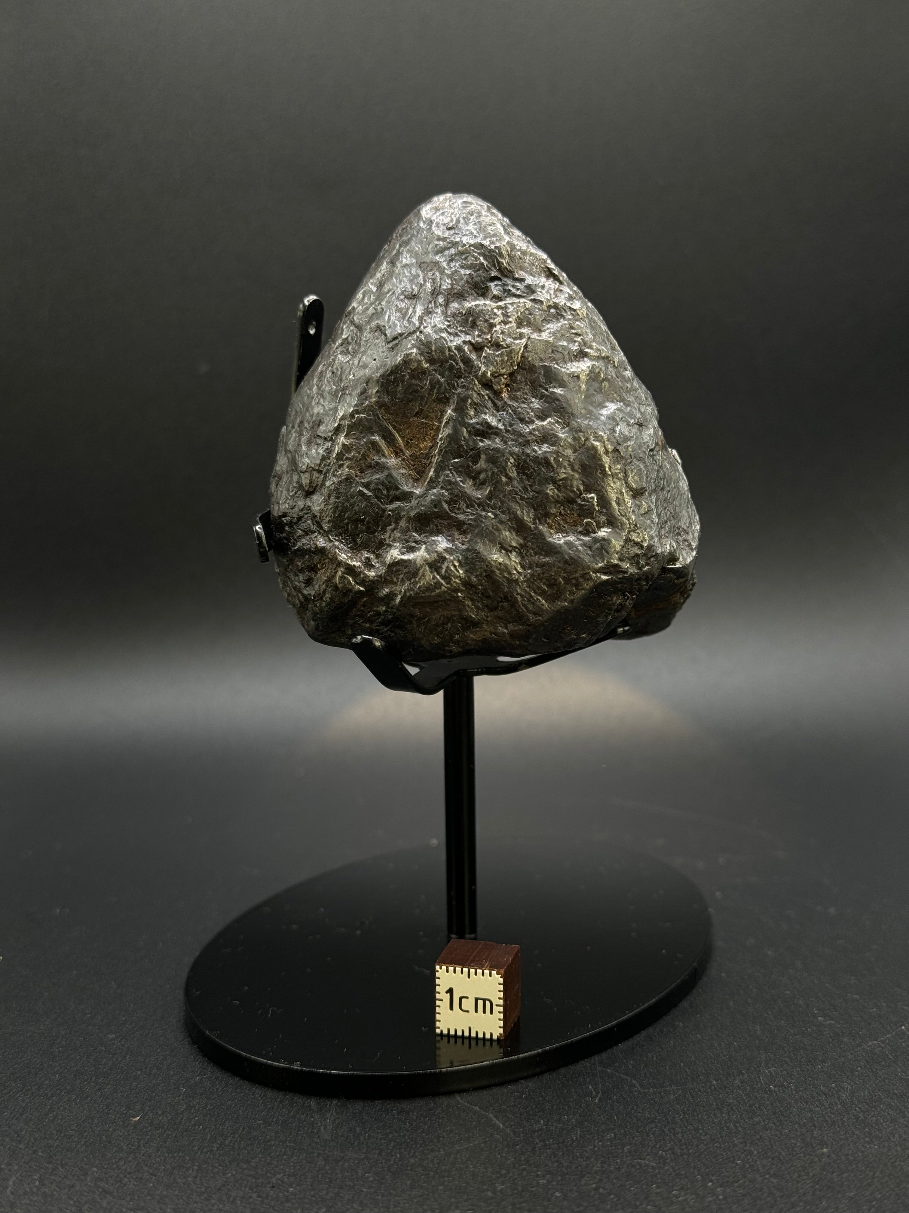 MUONIONALUSTA METEORITE, SWEDEN. FULL METEORITE 843 GRAMS.