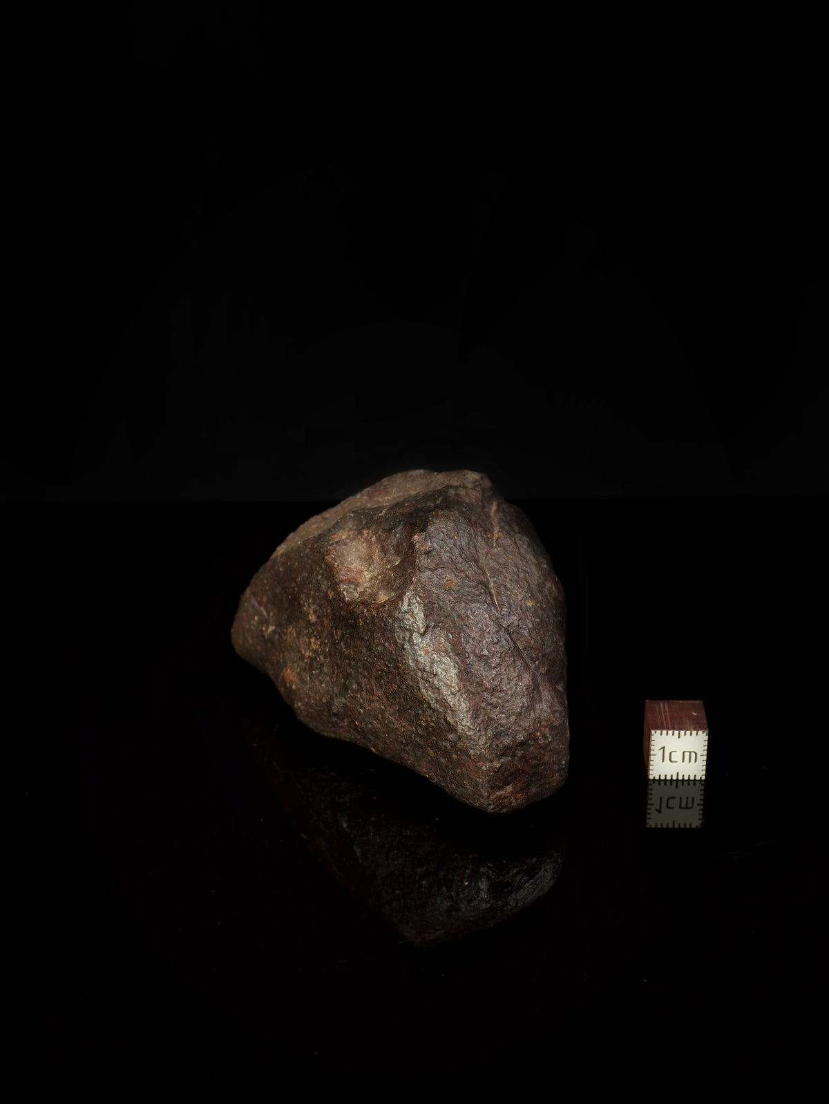 CHONDRITE METEORITE, NORTH WEST AFRICA. 310 GRAMS.