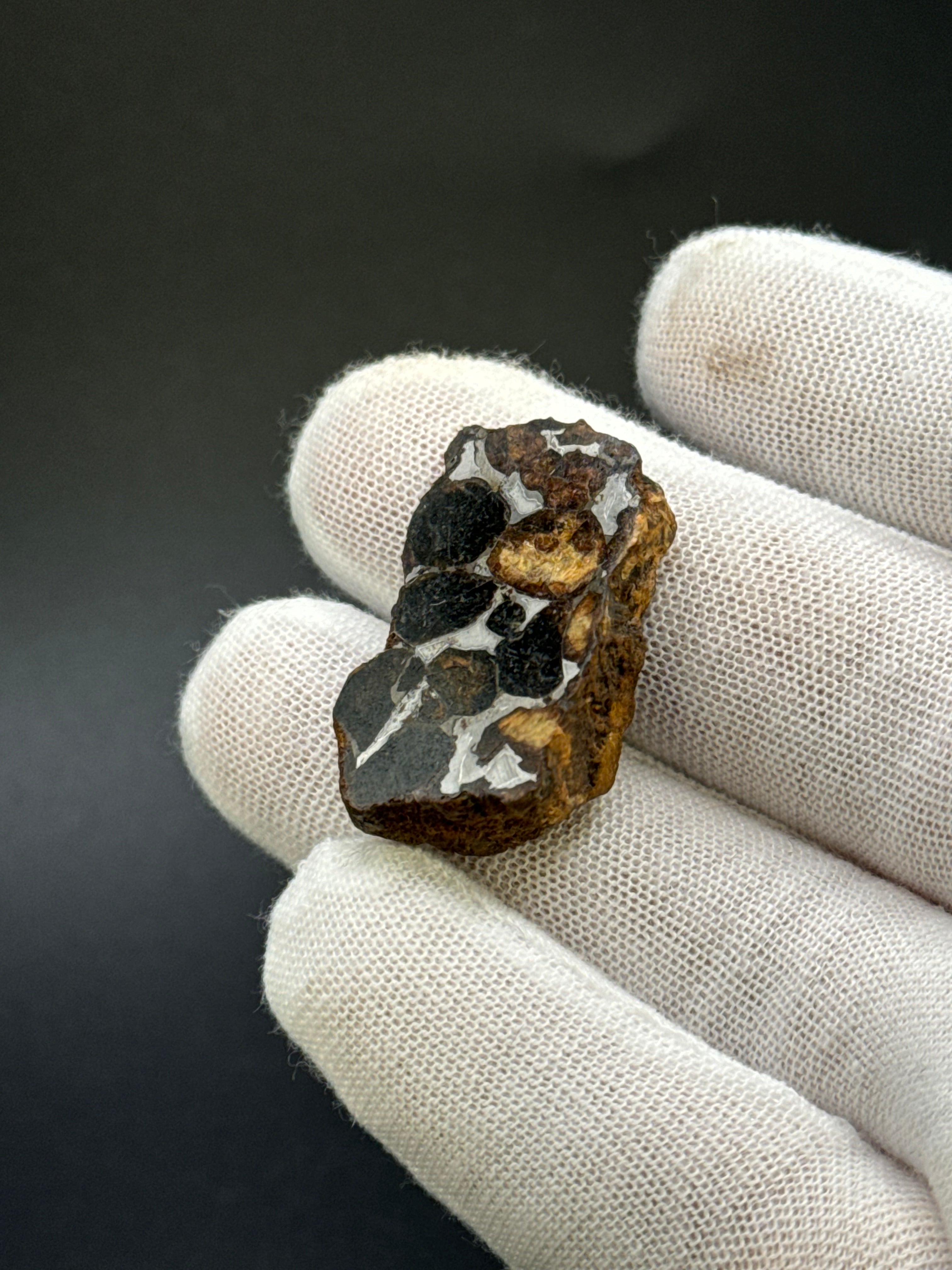 SERICHO PALLASITE METEORITE, KENYA. 13,59 GRAMS END-CUT