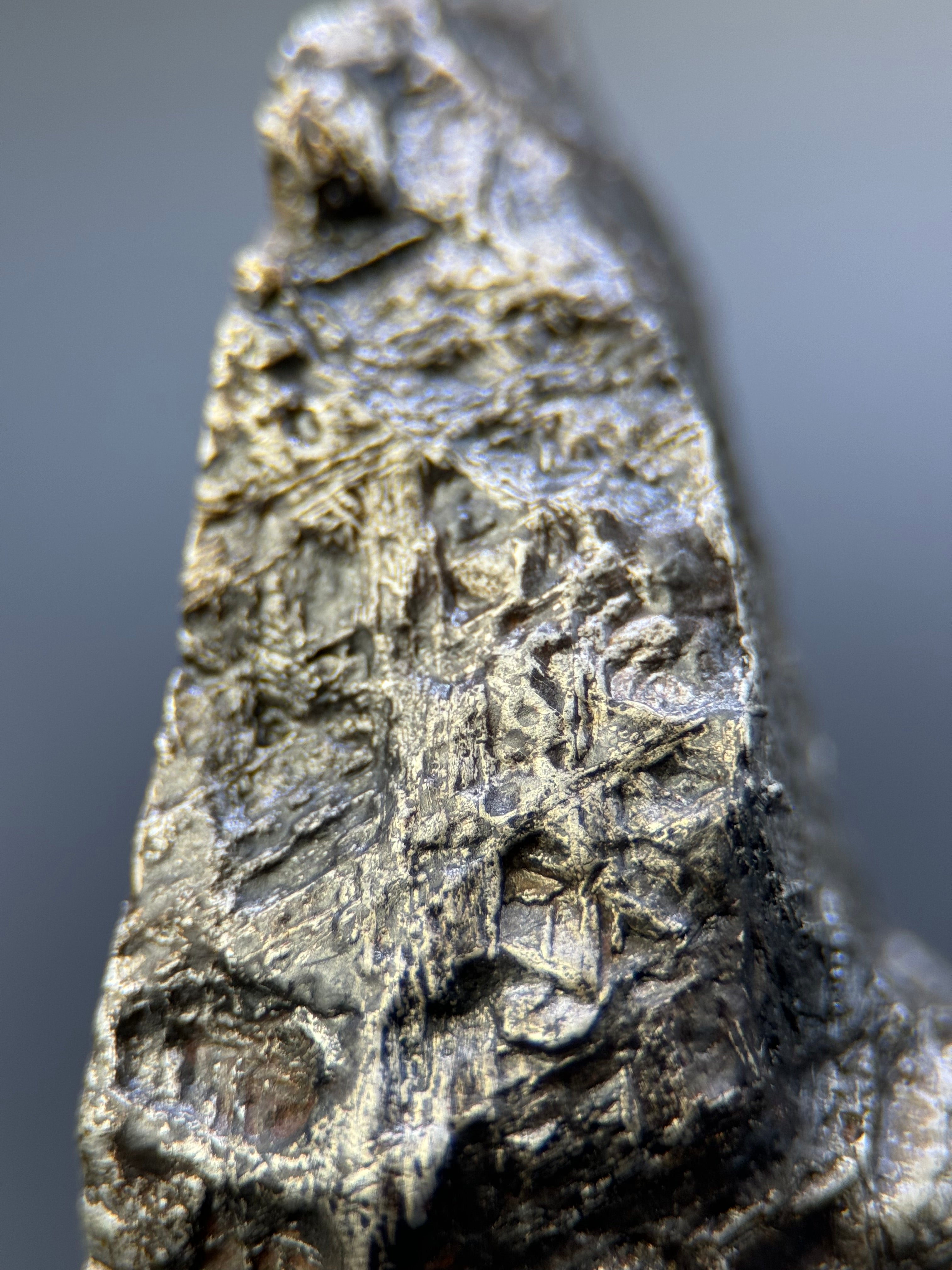 MUONIONALUSTA METEORITE, SWEDEN. 128 GRAMS END-CUT.