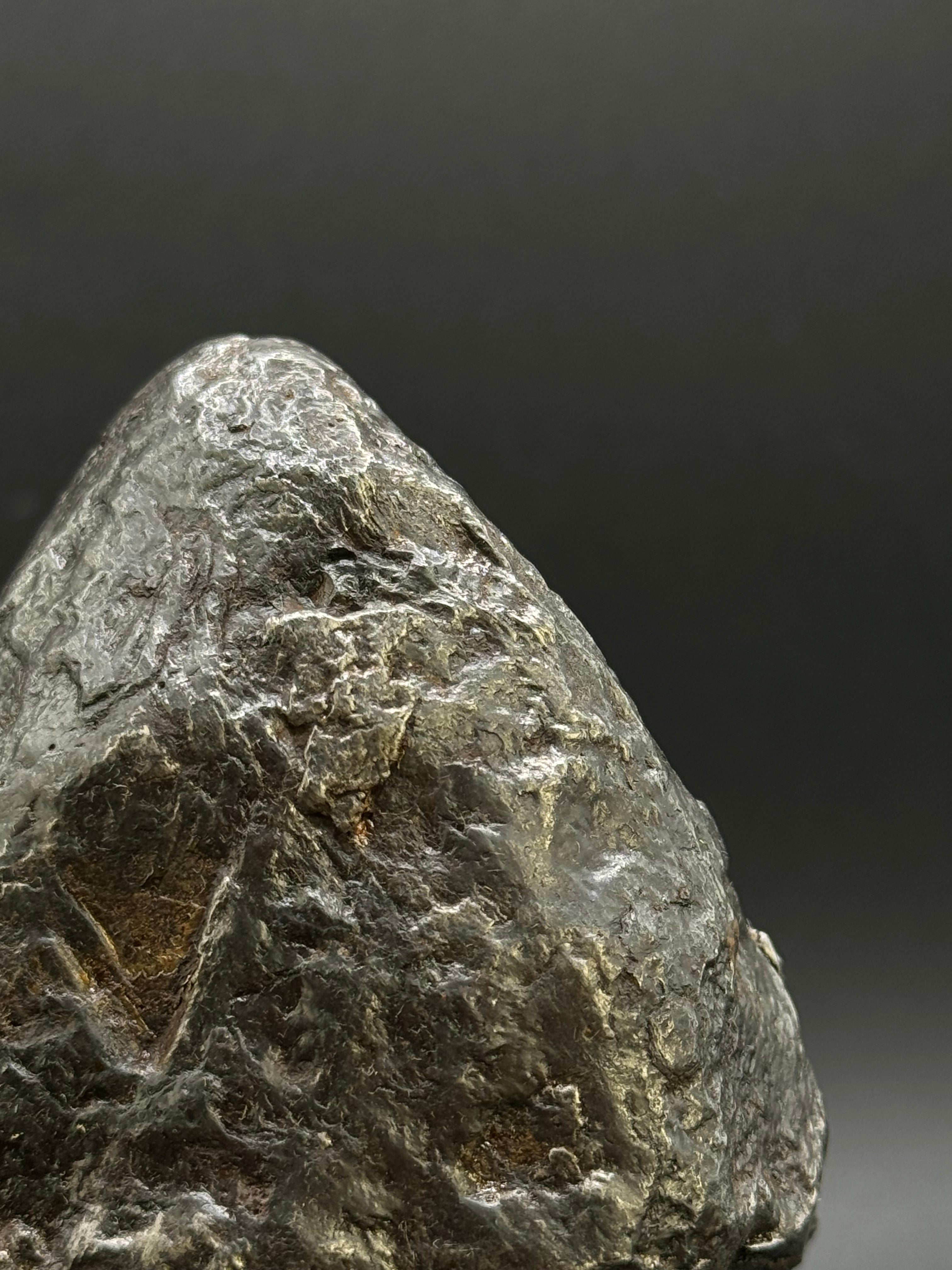 MUONIONALUSTA METEORITE, SWEDEN. FULL METEORITE 843 GRAMS.