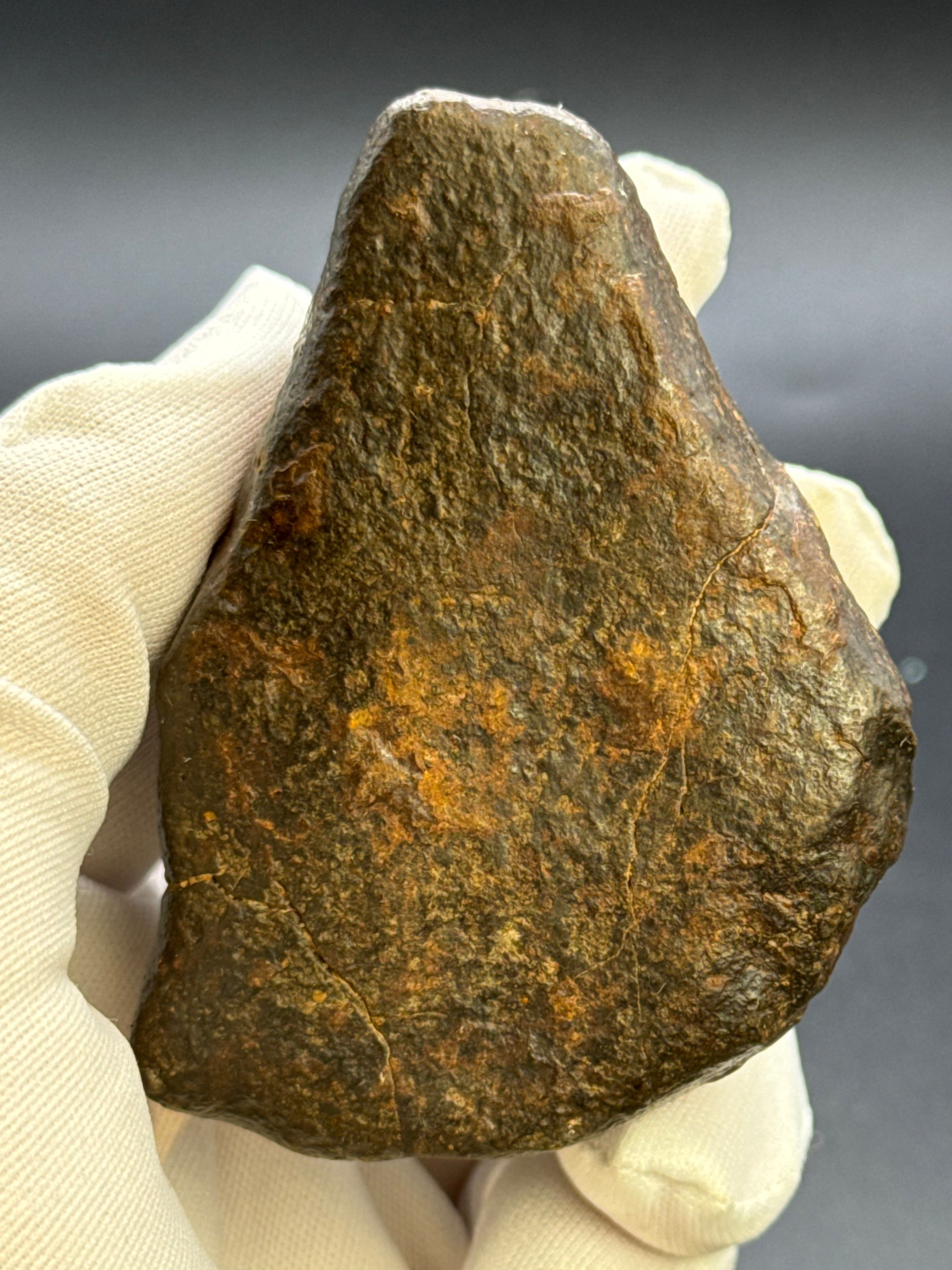 CHONDRITE METEORITE, NORTH WEST AFRICA. 310 GRAMS.