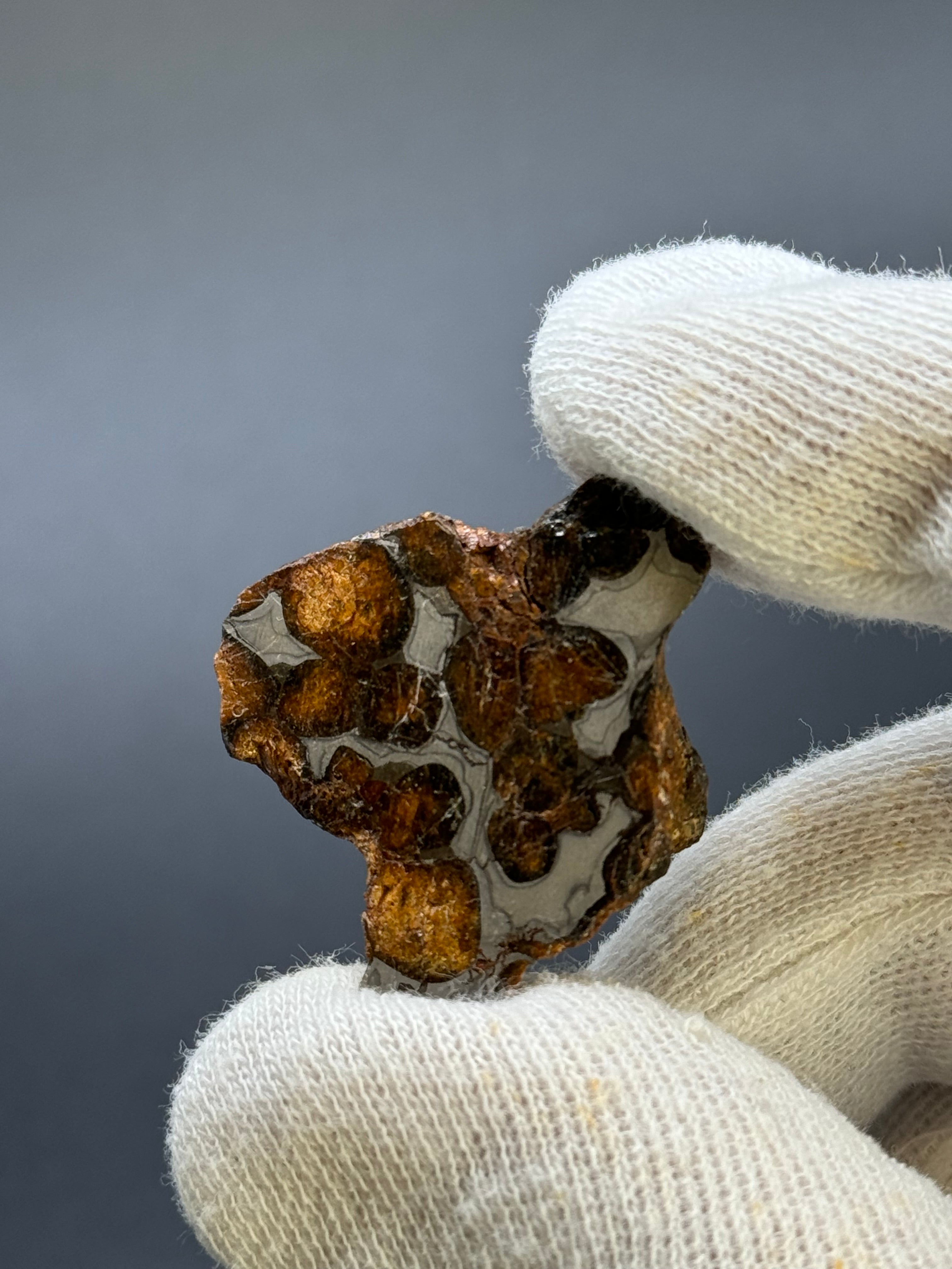 SERICHO PALLASITE METEORITE, KENYA. 17,15 GRAMS END-CUT