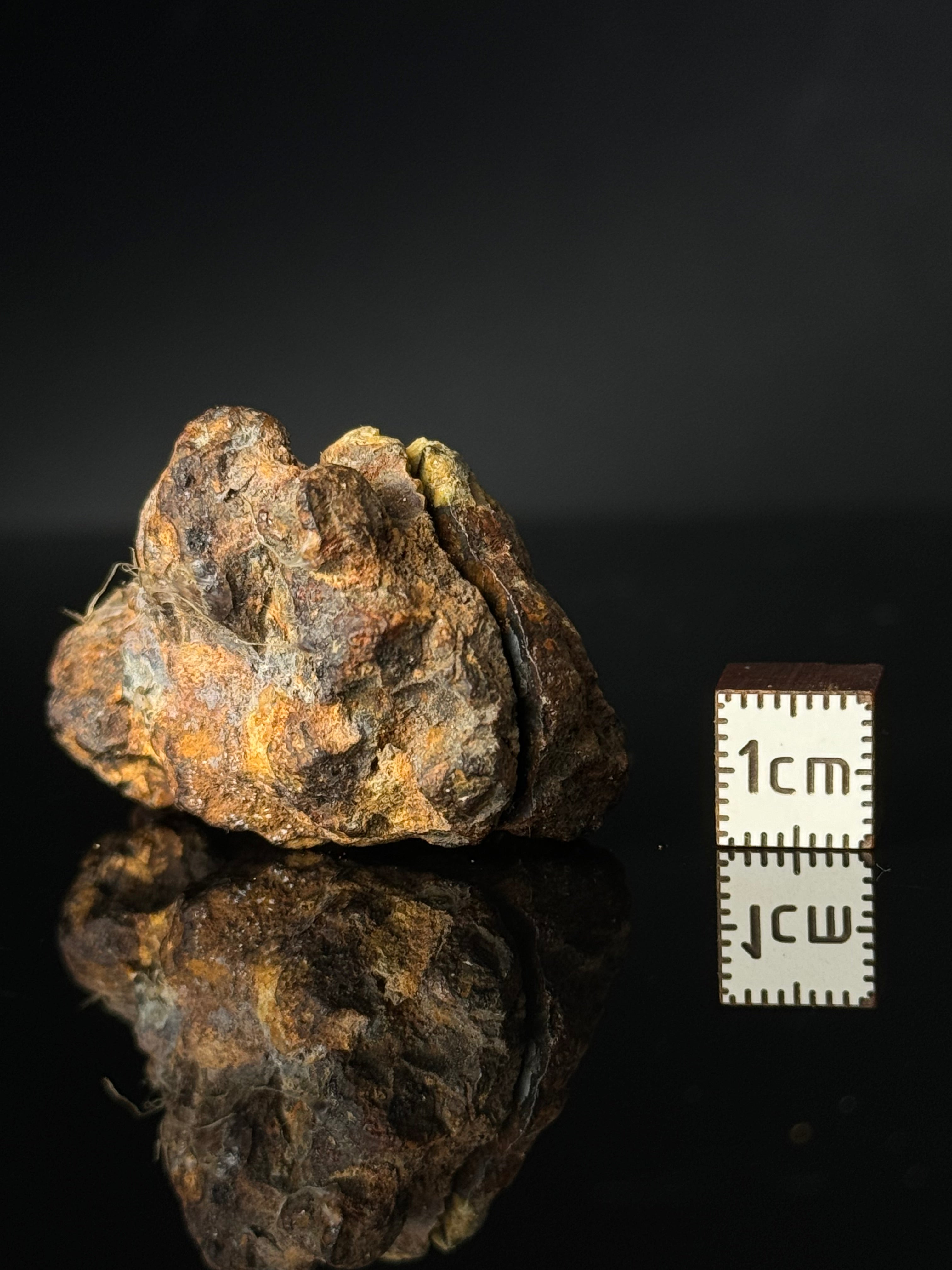 FULL SERICHO METEORITE FROM KENYA, IN TWO HALVES. TOTAL WEIGHT: 51,5 GRAMS.