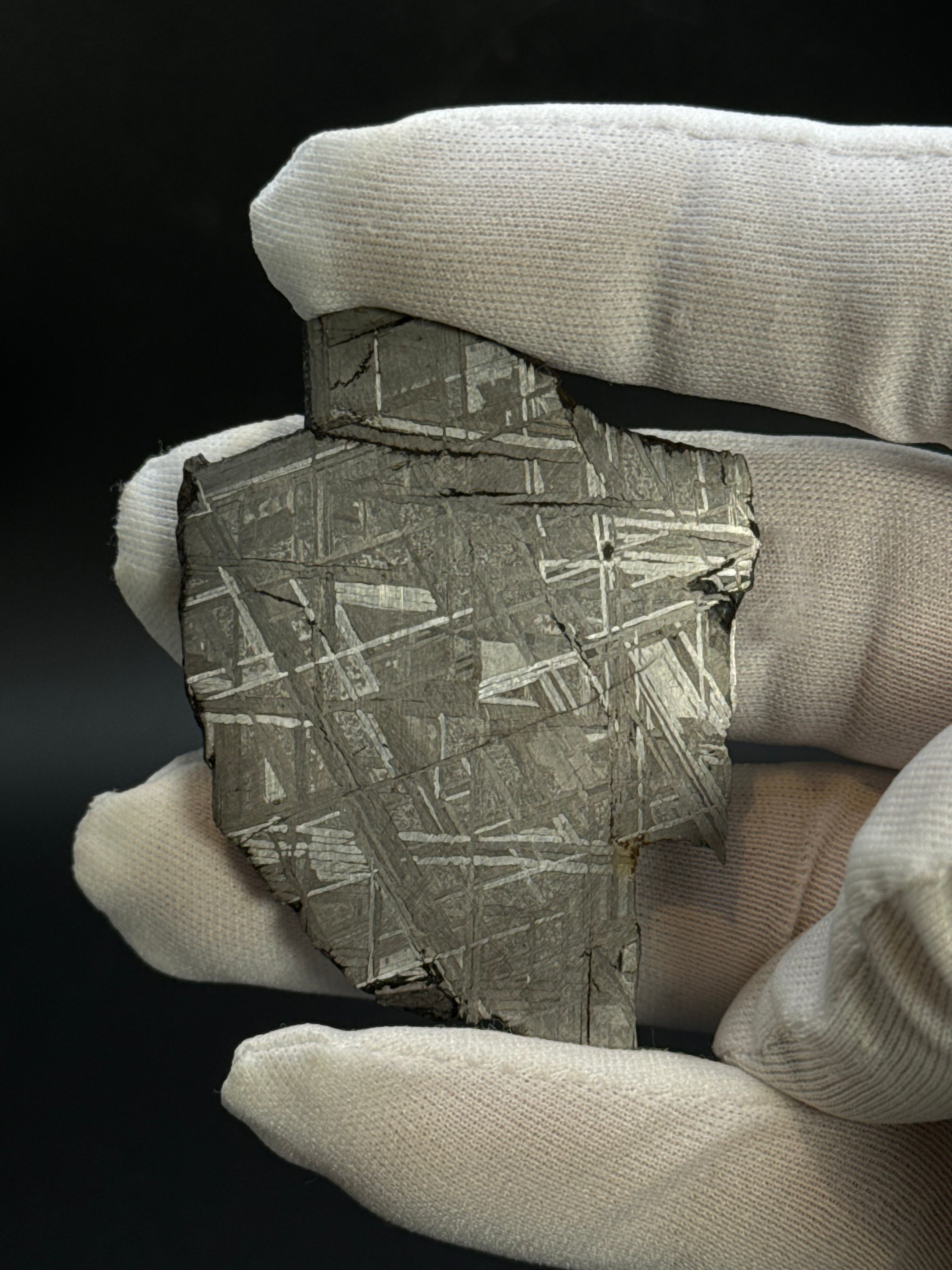 MUONIONALUSTA METEORITE, SWEDEN. 44,09 GRAMS.