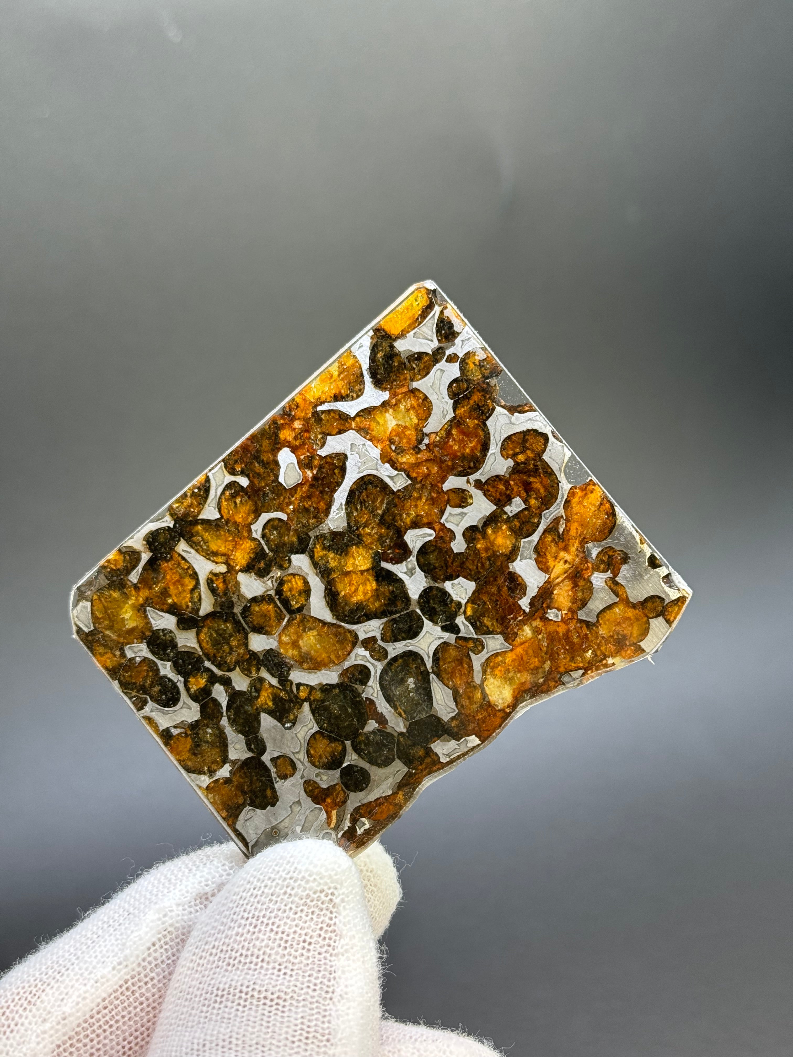 SERICHO METEORITE, KENYA. 21,80 GRAMS SLICE