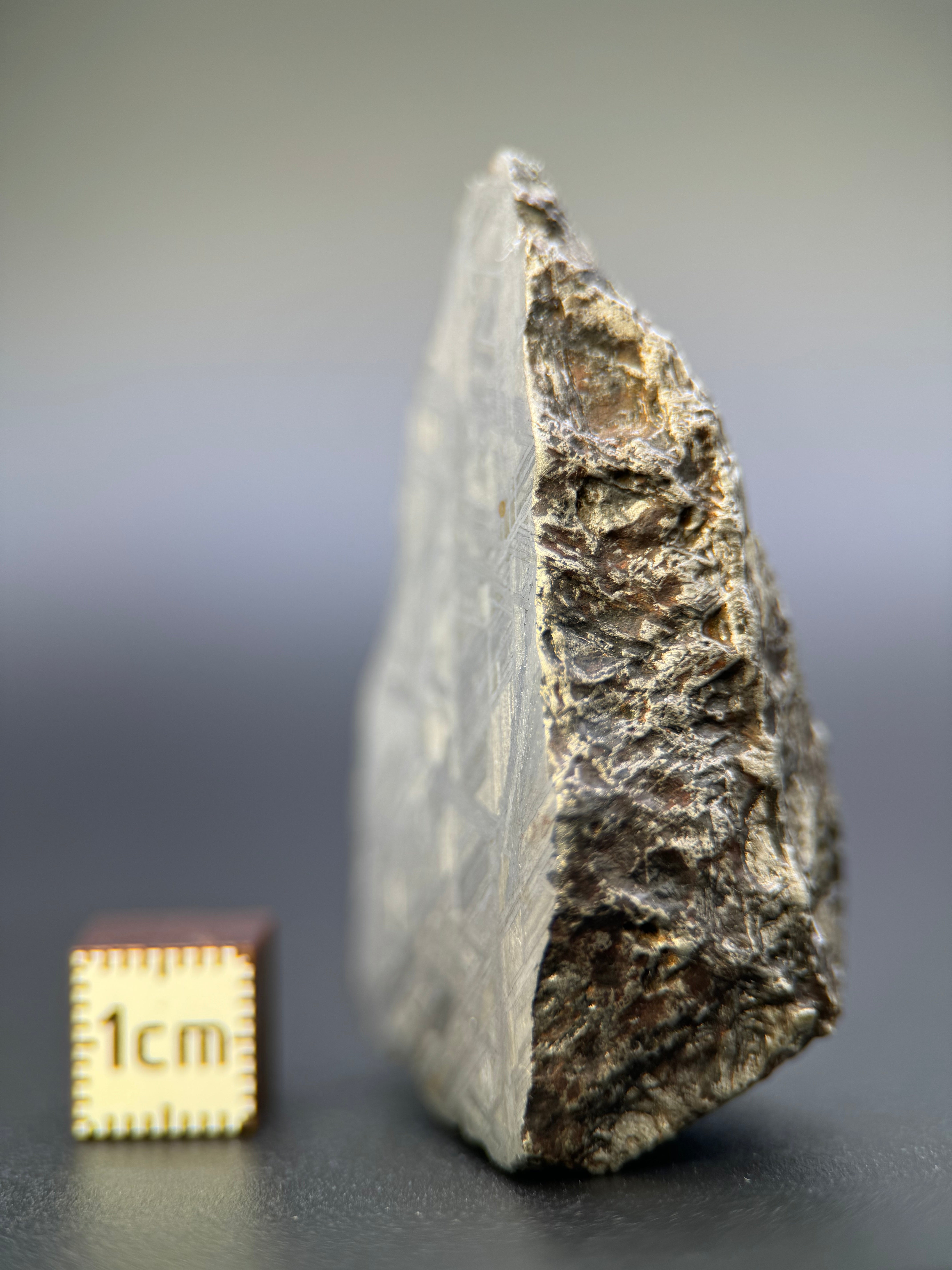 MUONIONALUSTA METEORITE, SWEDEN. 129,8 GRAMS END-CUT