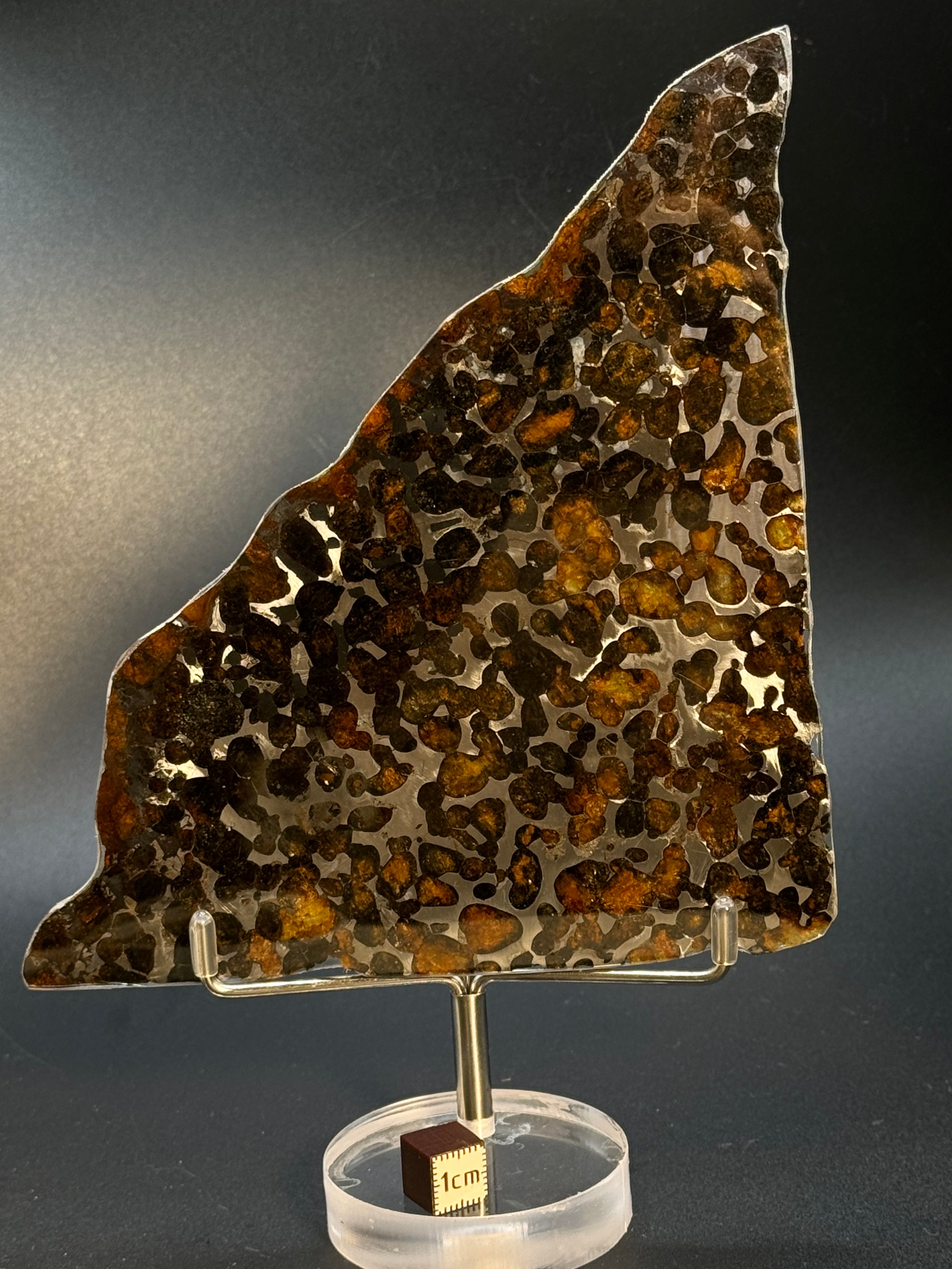 SERICHO METEORITE, KENYA. 73 GRAMS SLICE