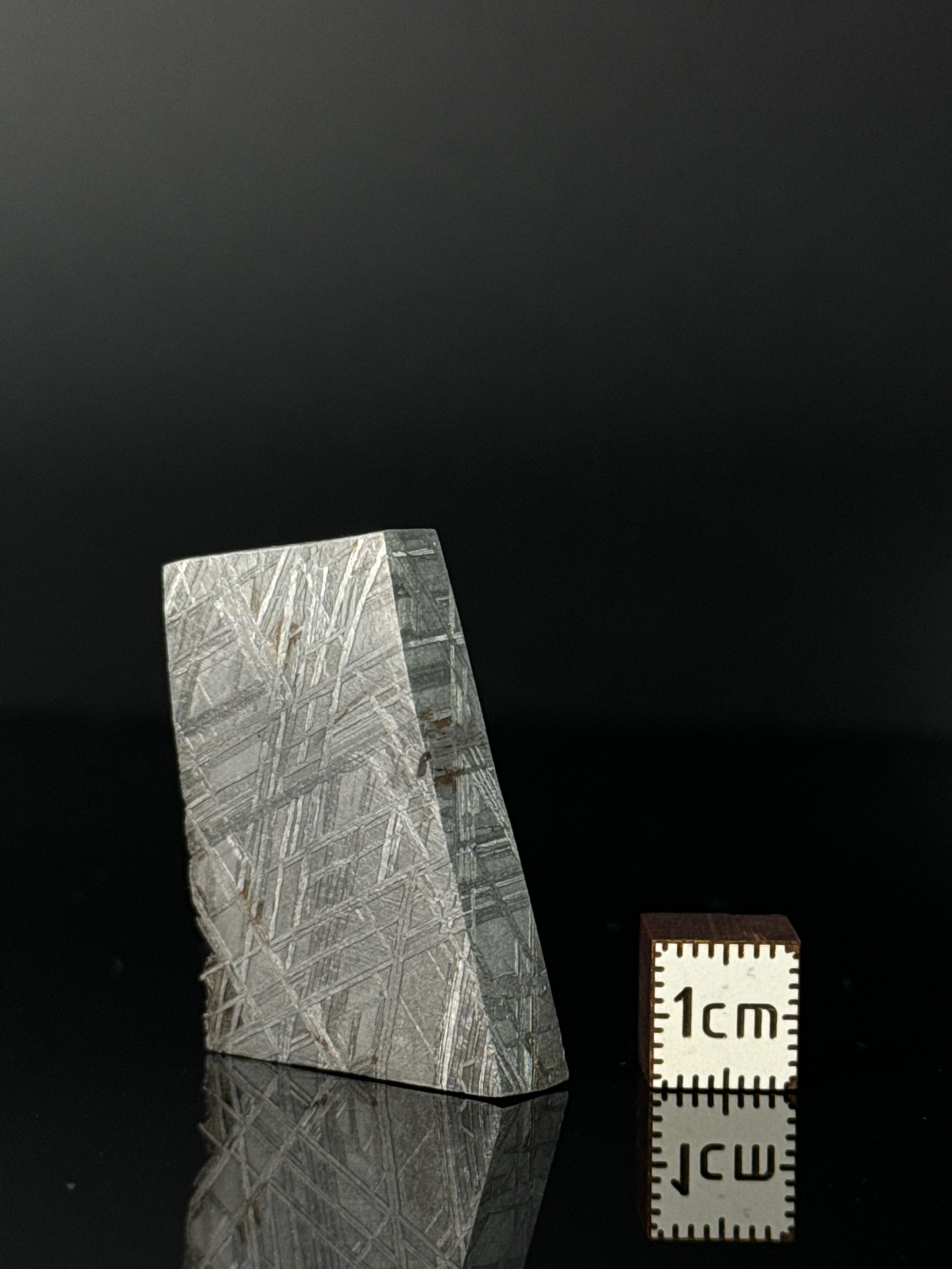 MUONIONALUSTA METEORITE, SWEDEN 42,78 GRAMS.