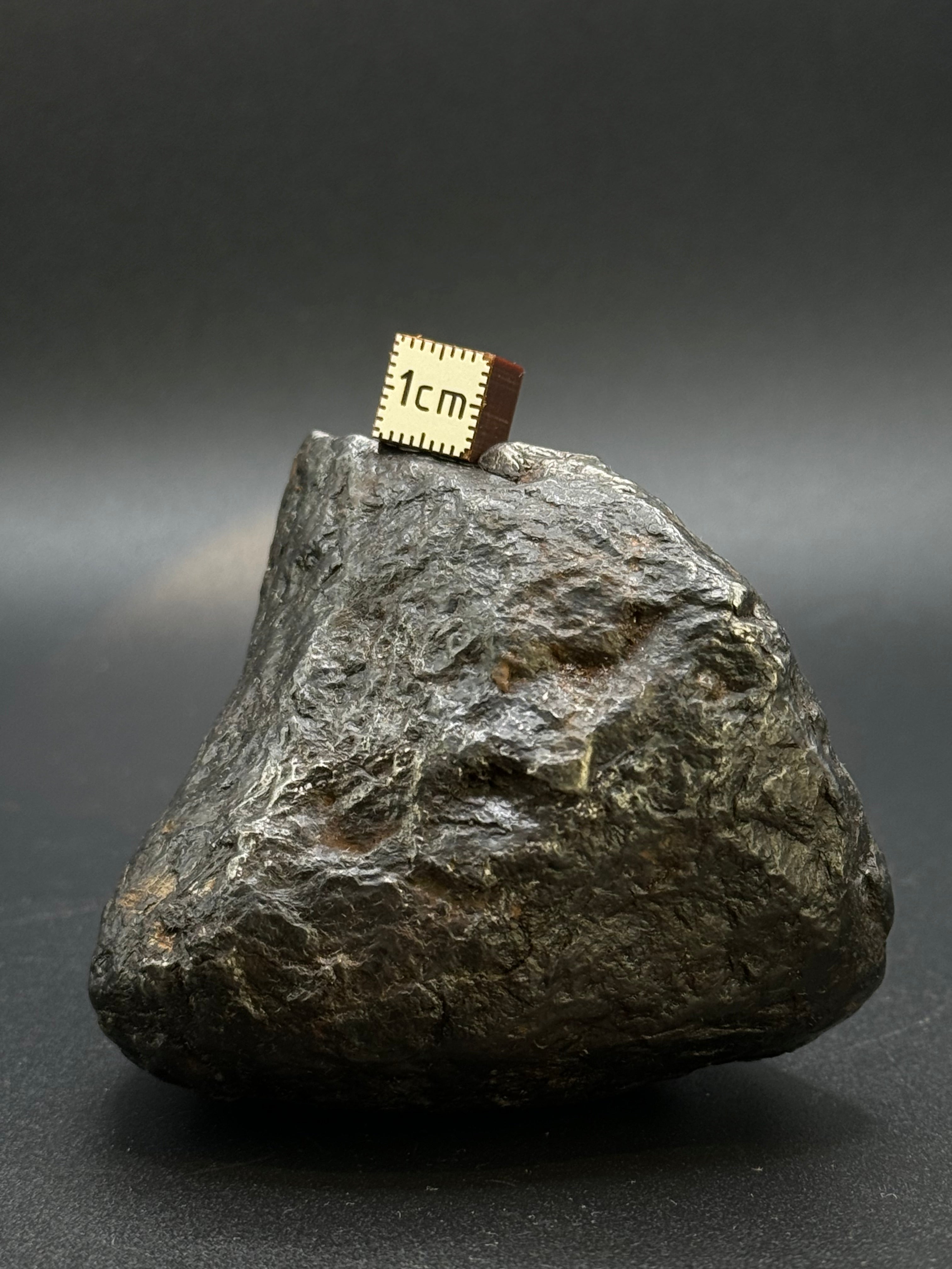 MUONIONALUSTA METEORITE, SWEDEN. FULL METEORITE 843 GRAMS.
