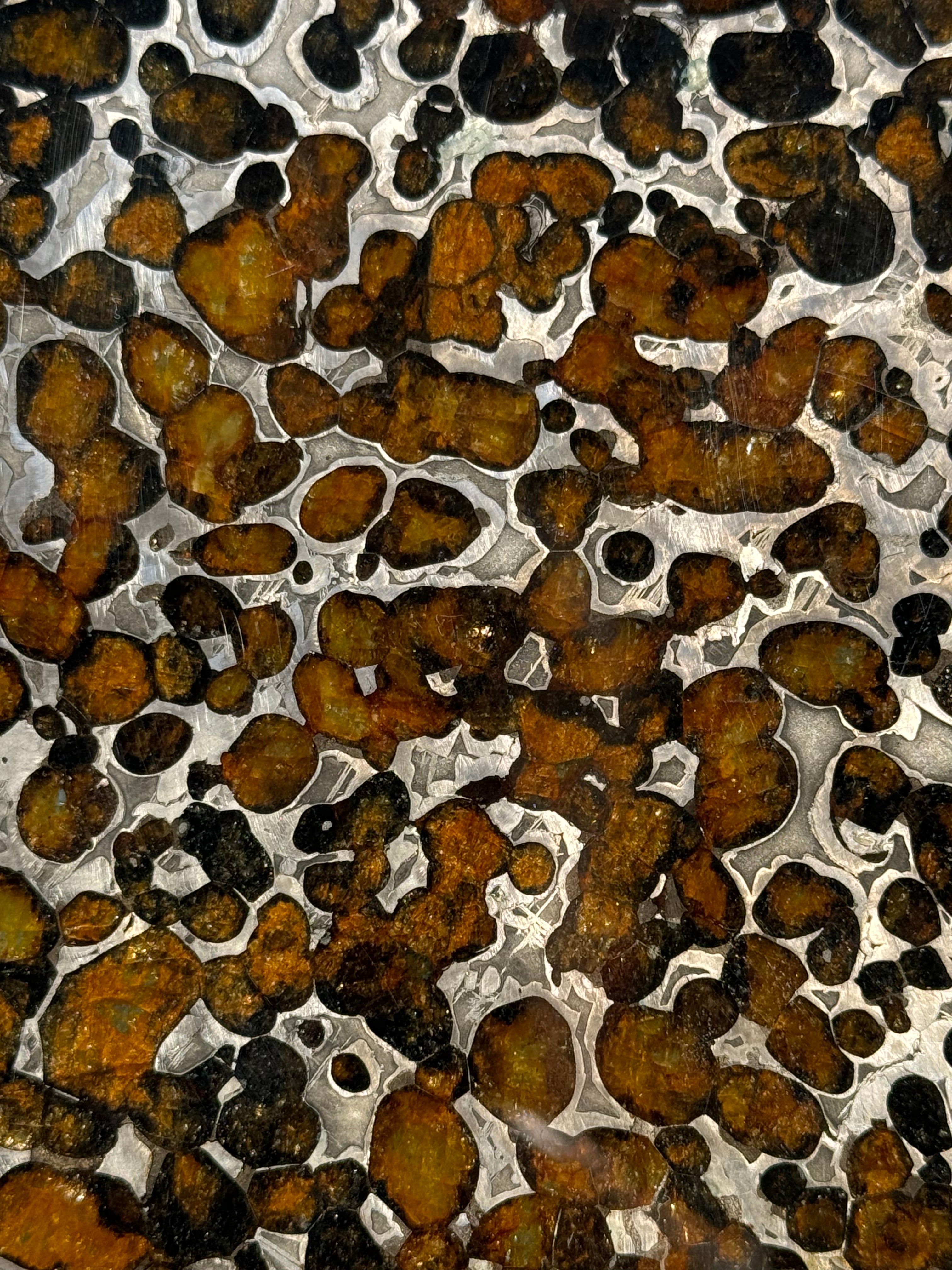 SERICHO METEORITE, KENYA. 81 GRAMS SLICE