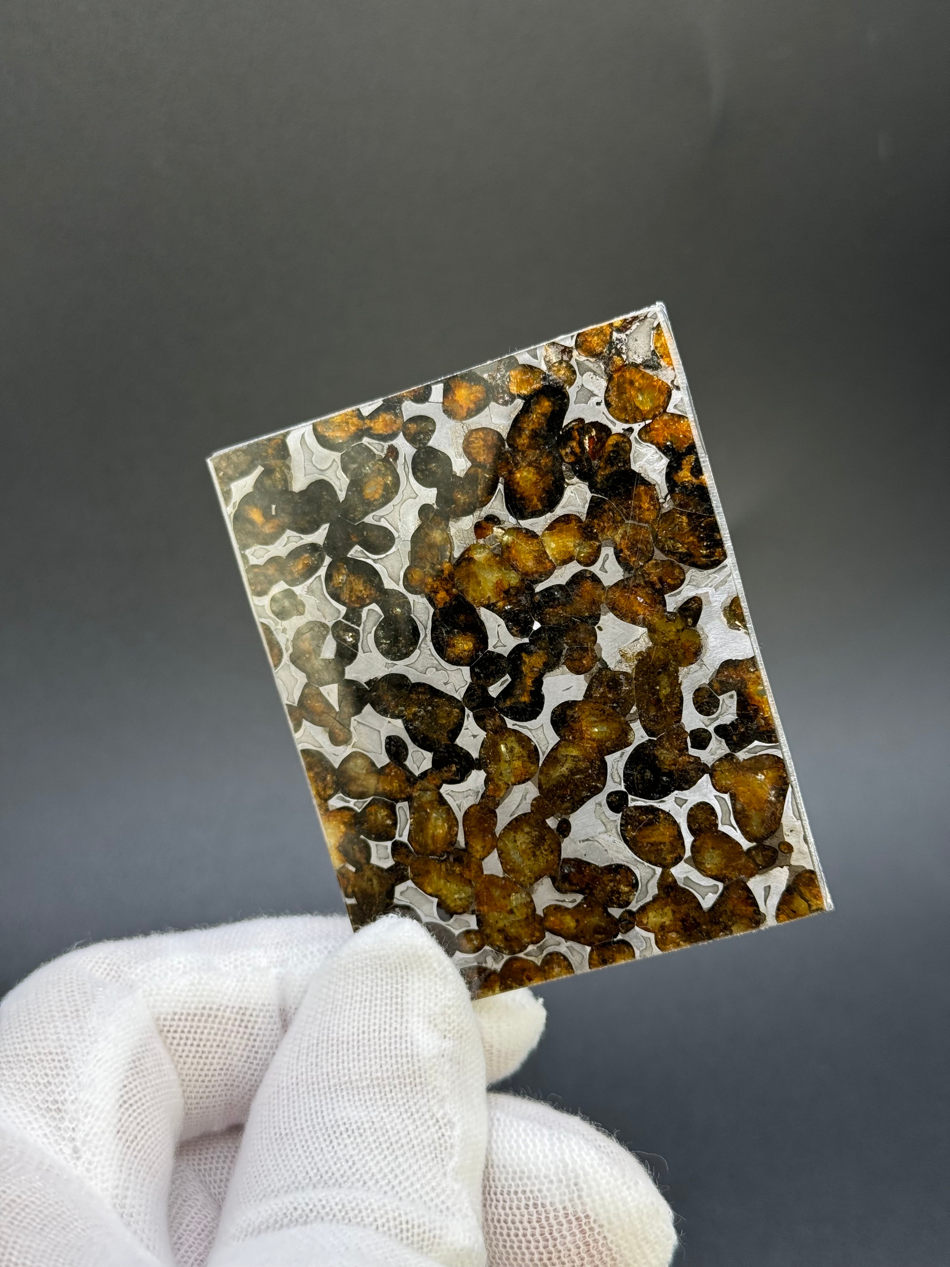 SERICHO METEORITE, KENYA. 26,10 GRAMS SLICE