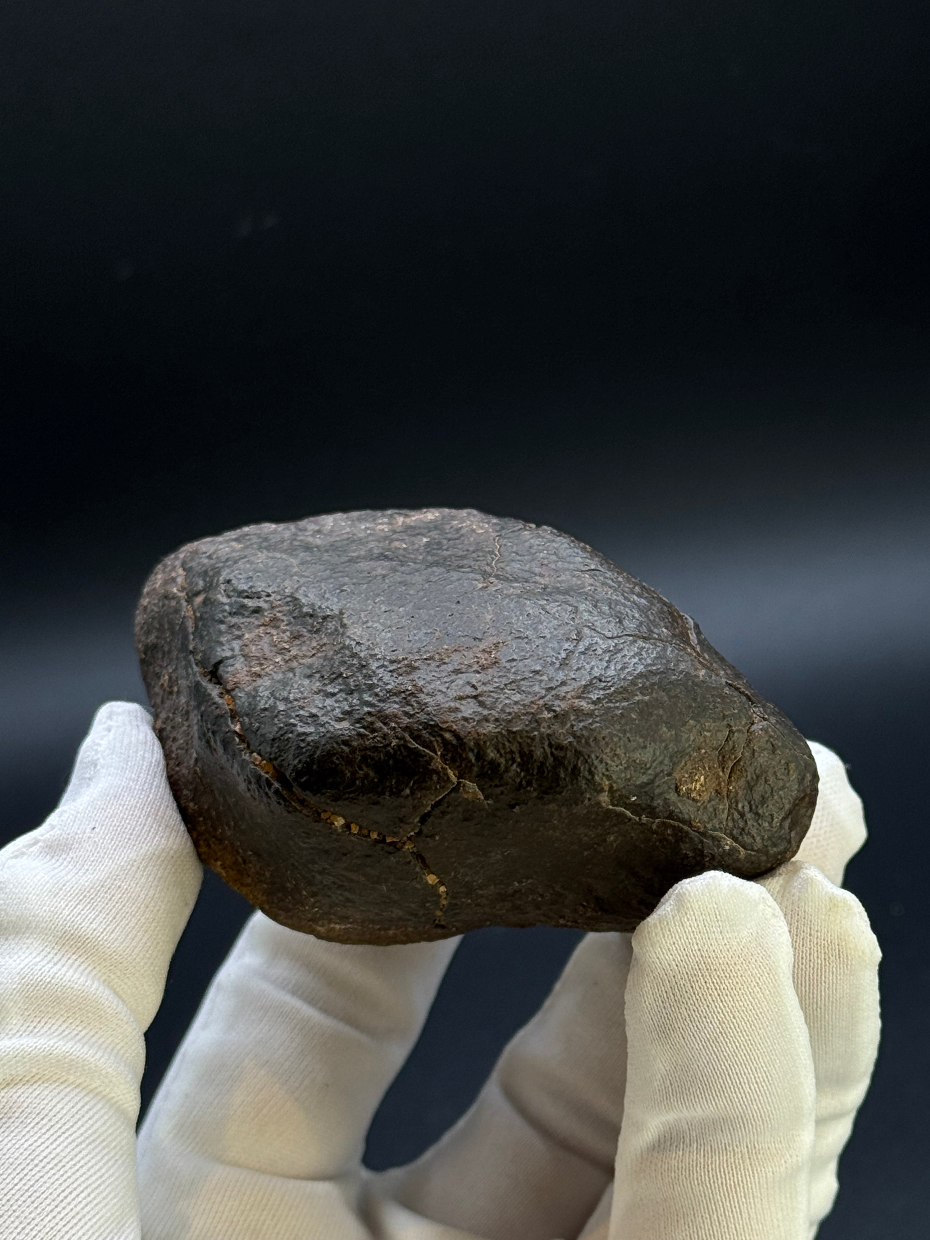 CHONDRITE METEORITE, NORTH WEST AFRICA. 352 GRAMS.