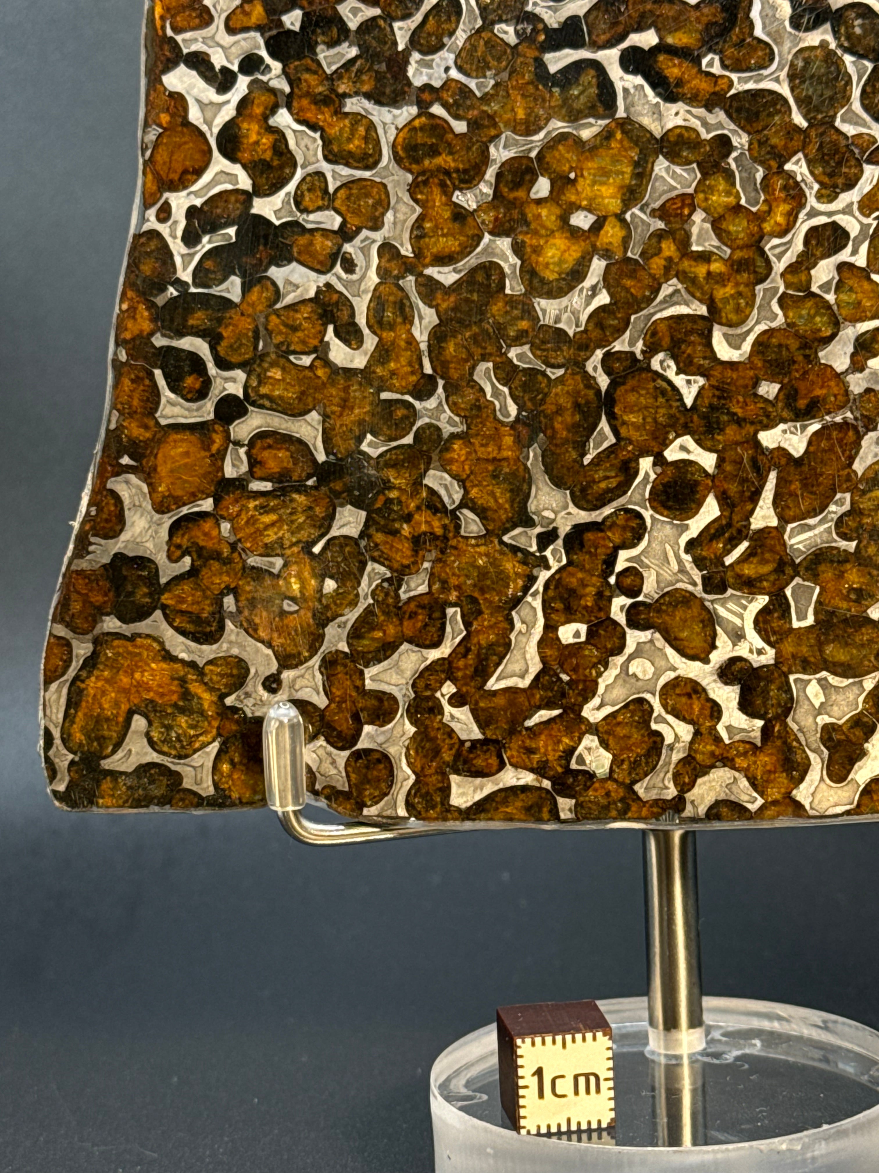 SERICHO METEORITE, KENYA. 87 GRAMS SLICE