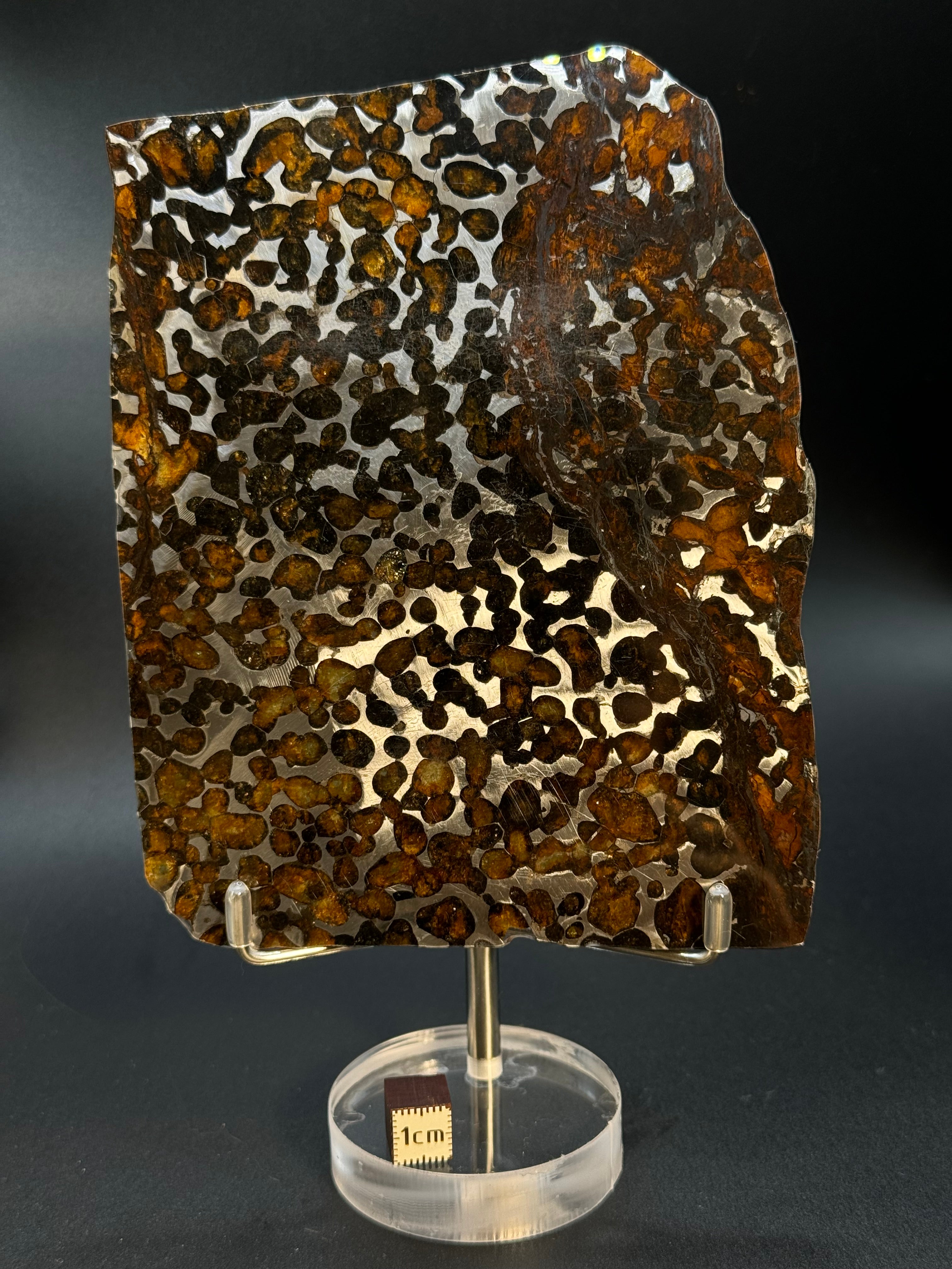 SERICHO METEORITE, KENYA. 102 GRAMS SLICE