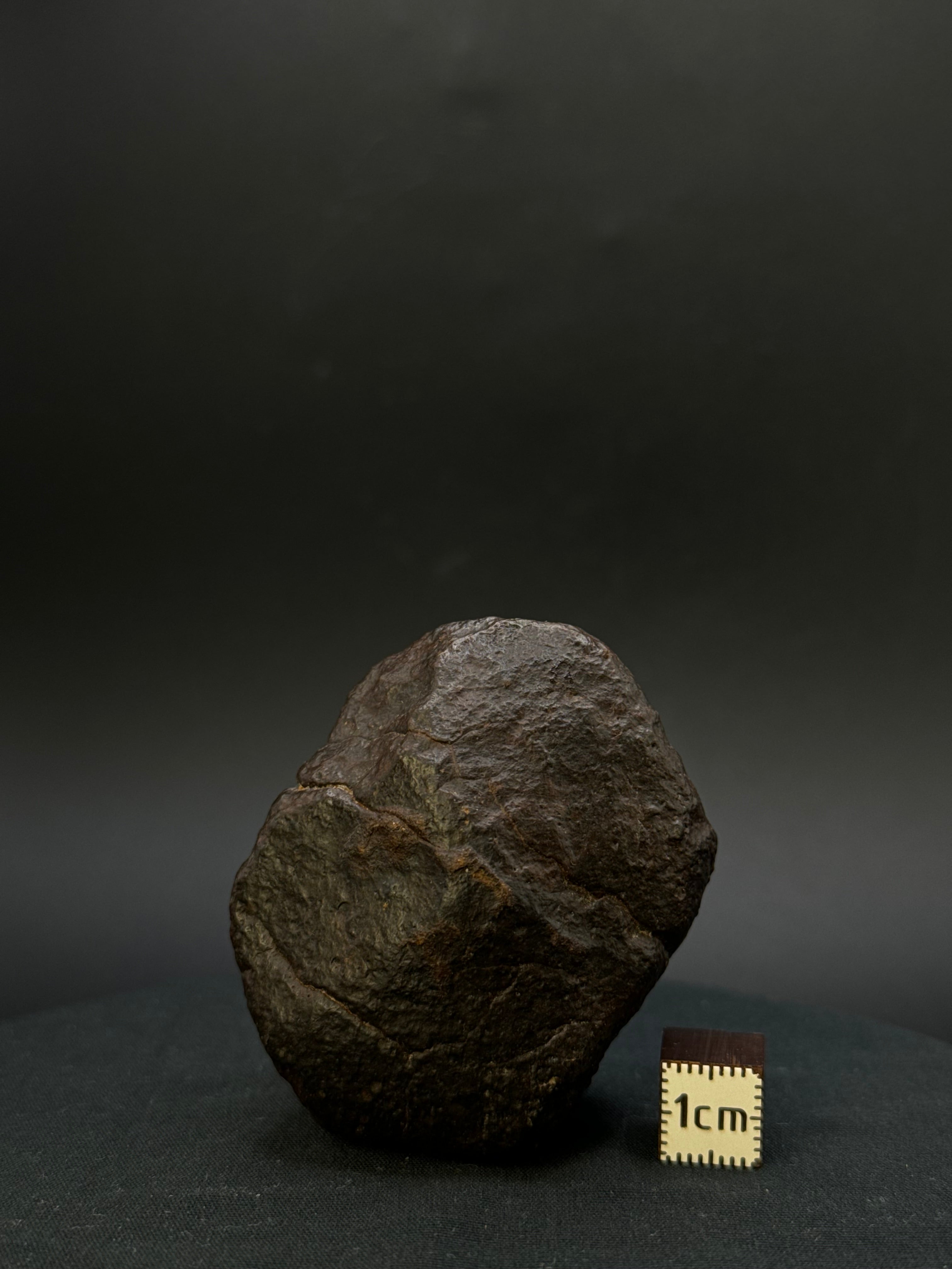 CHONDRITE METEORITE, NORTH WEST AFRICA. 116,40 grams.