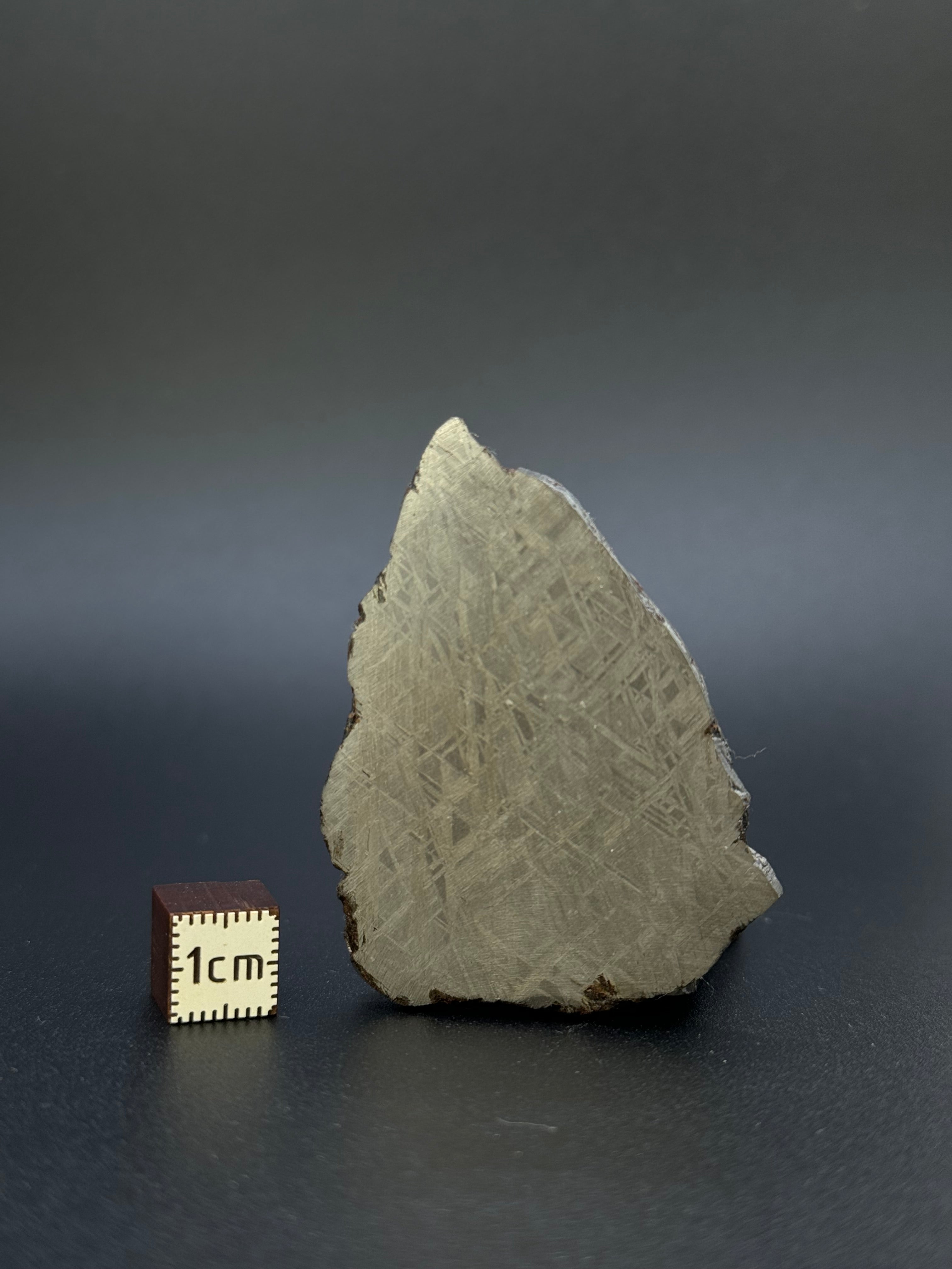 MUONIONALUSTA METEORITE, SWEDEN. 35,88 GRAMS.