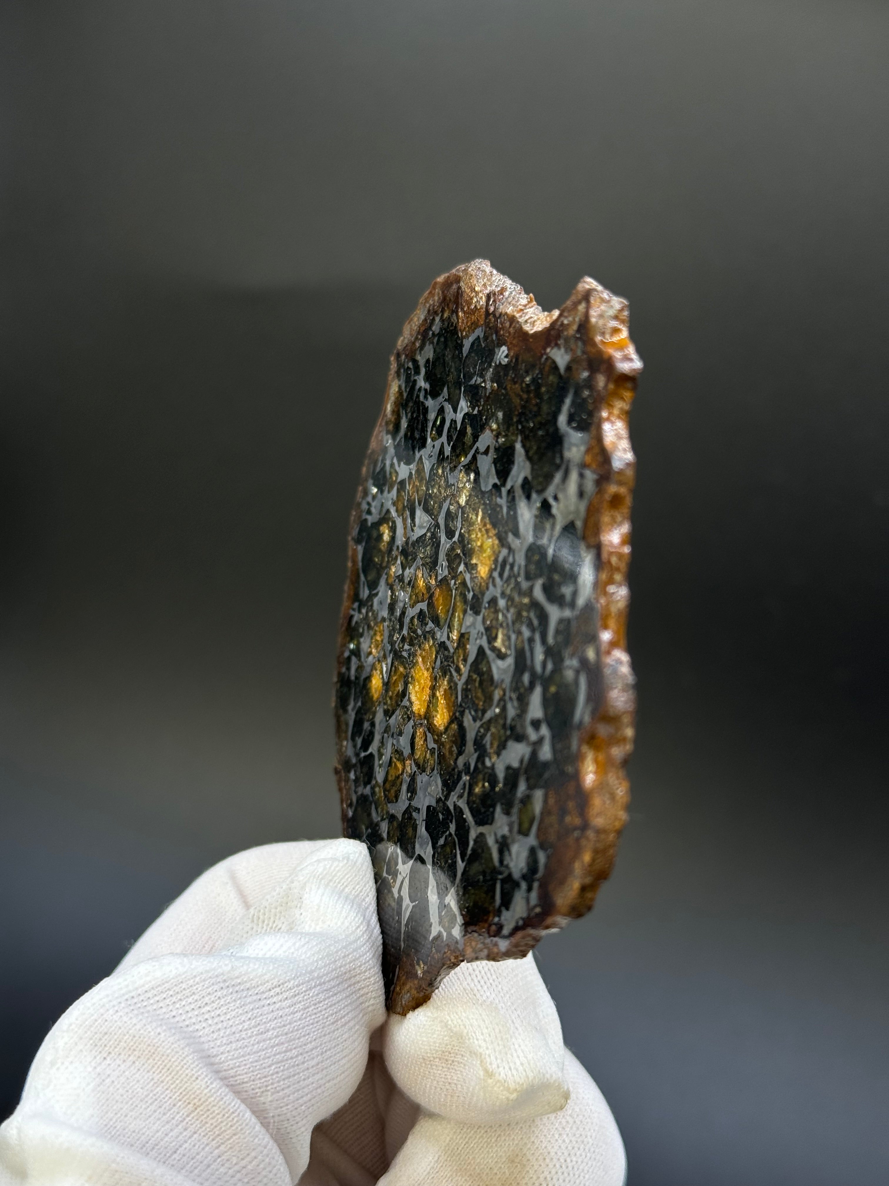 SEYMCHAN METEORITE, MAGADAN REGION, RUSSIA. 36,6 GRAMS SLICE.