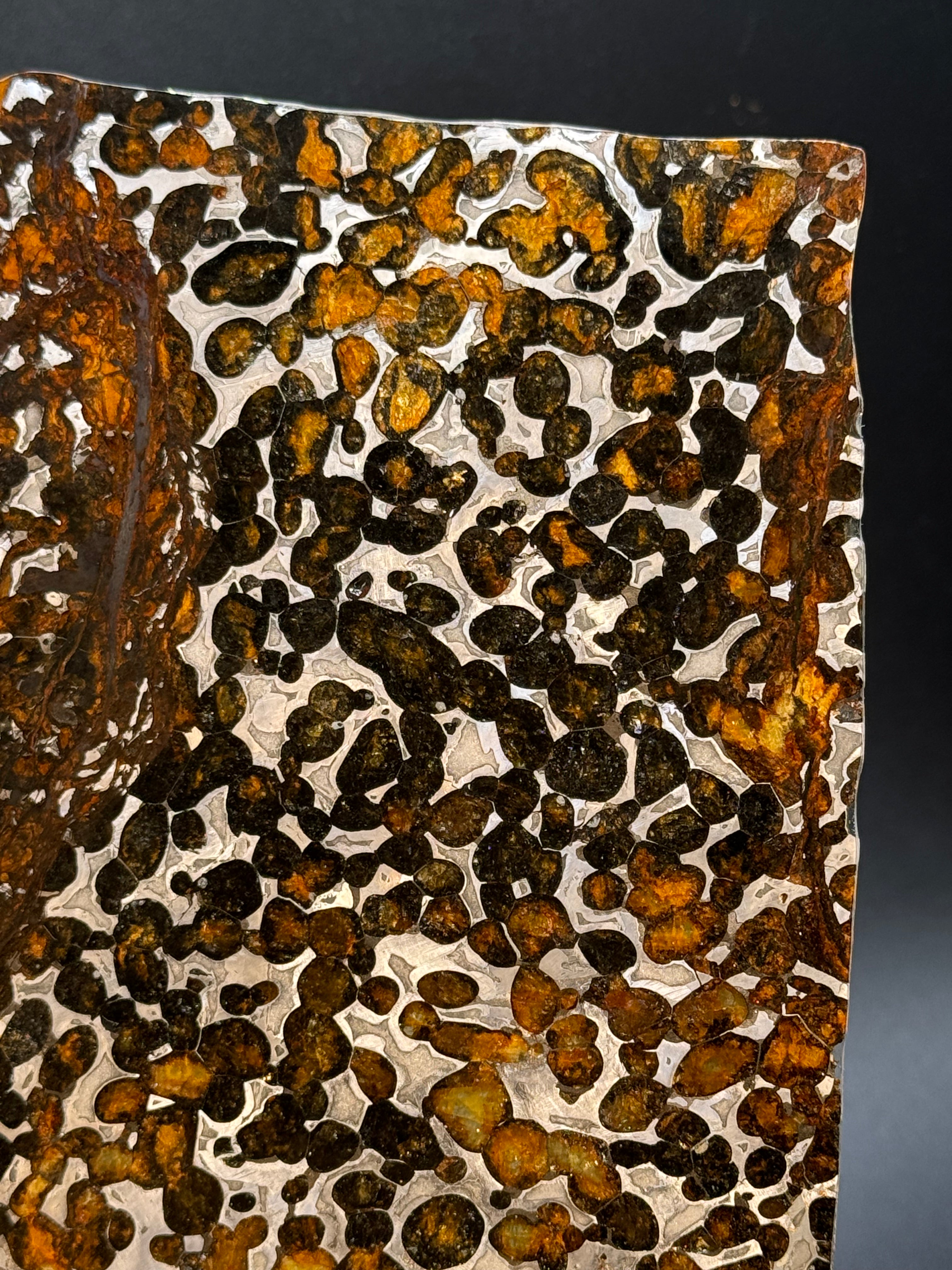 SERICHO METEORITE, KENYA. 102 GRAMS SLICE