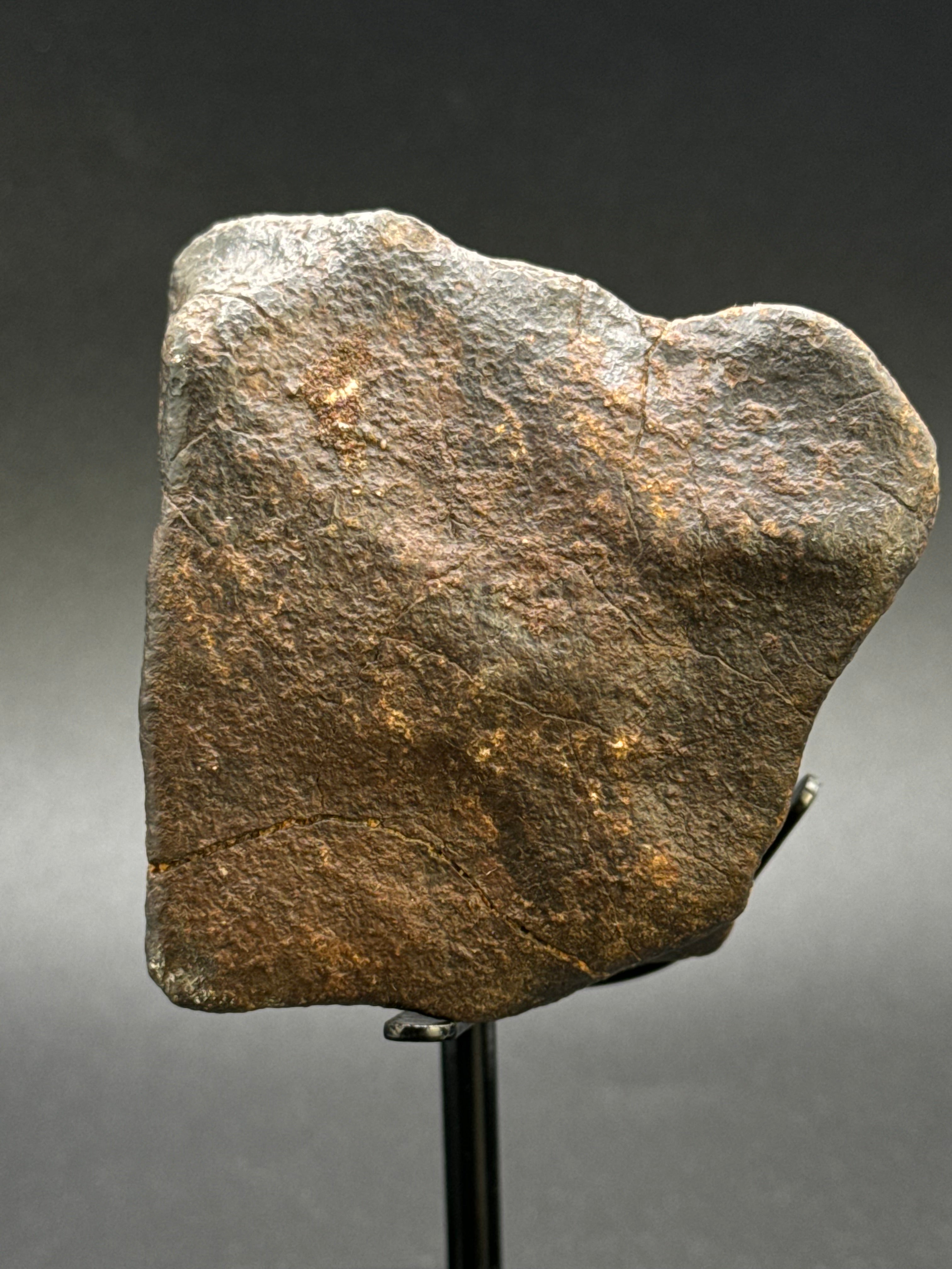 CHONDRITE METEORITE, NORTH WEST AFRICA. 263 GRAMS.