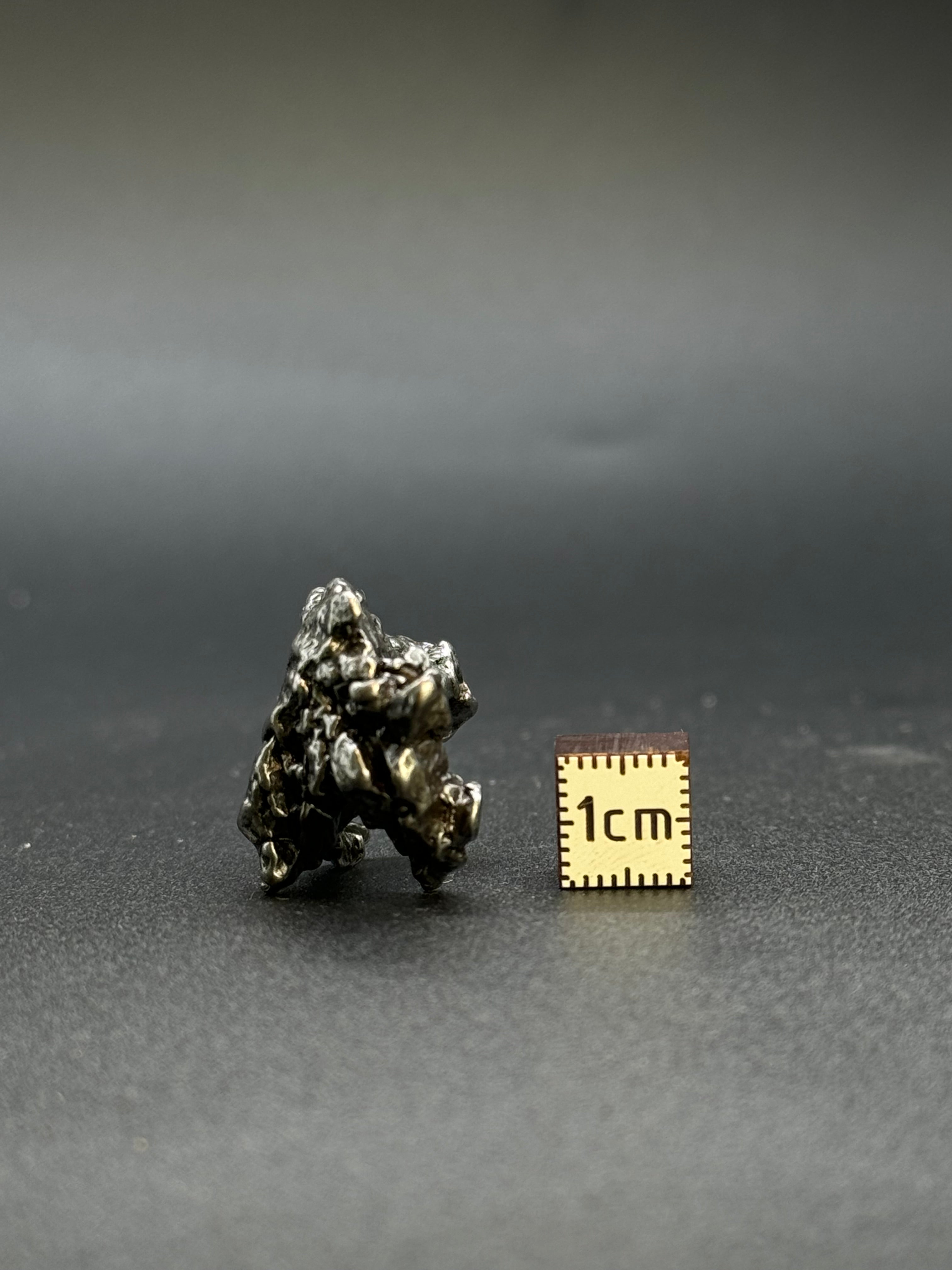CAMPO DEL CIELO METEORITE, SOUTH AMERICA. 25,02 GRAMS.