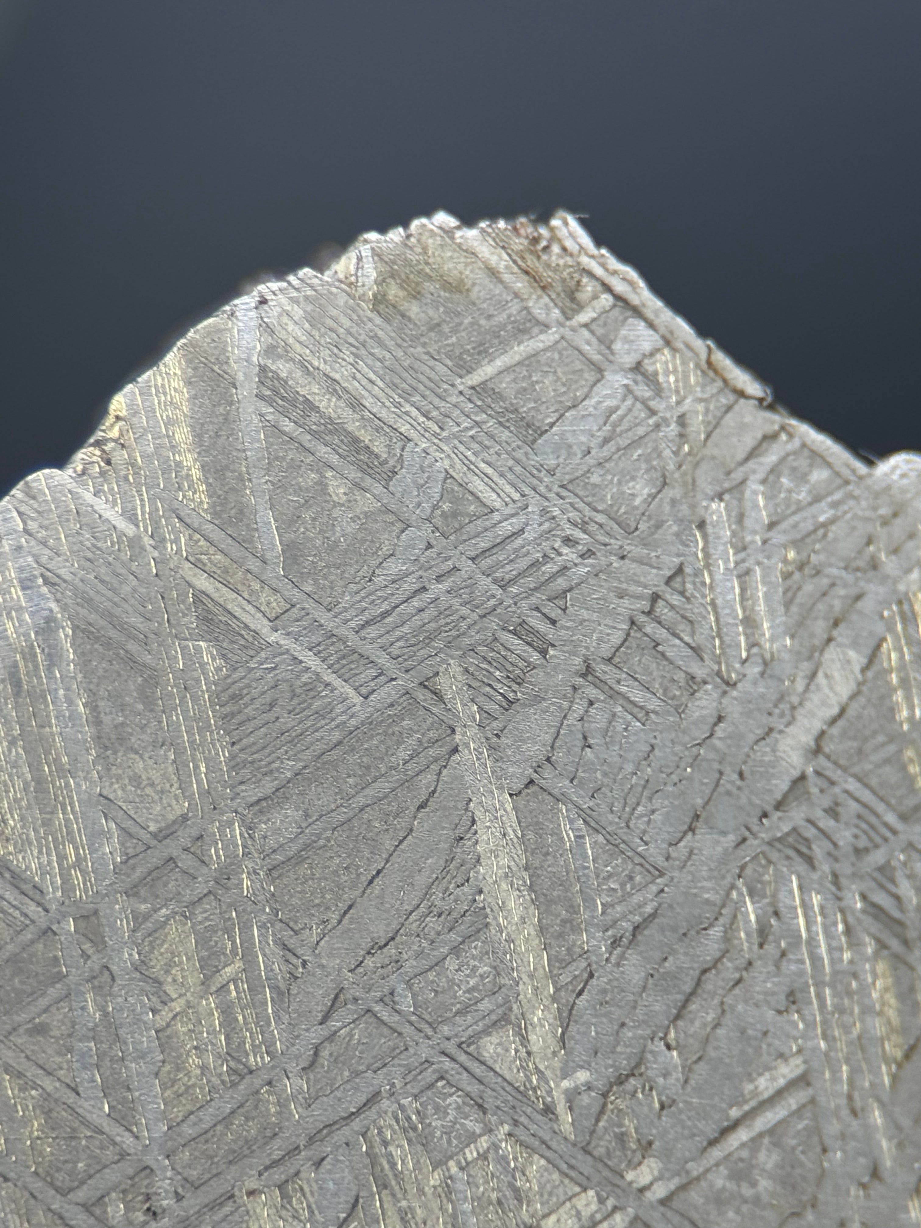 MUONIONALUSTA METEORITE, SWEDEN. 242 GRAMS END-CUT.