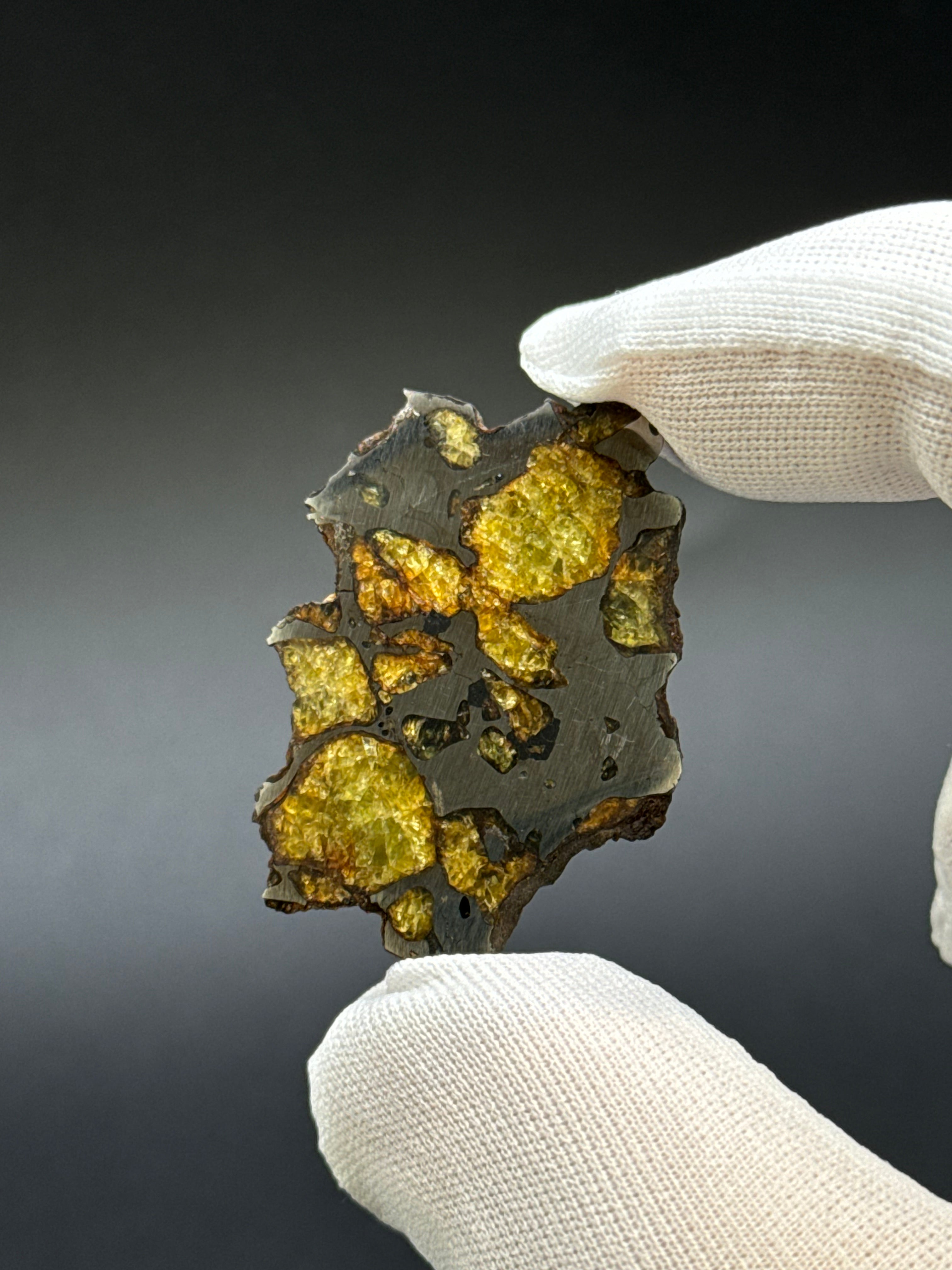 IMILAC PALLASITE METEORITE, CHILE. 7,38 GRAMS