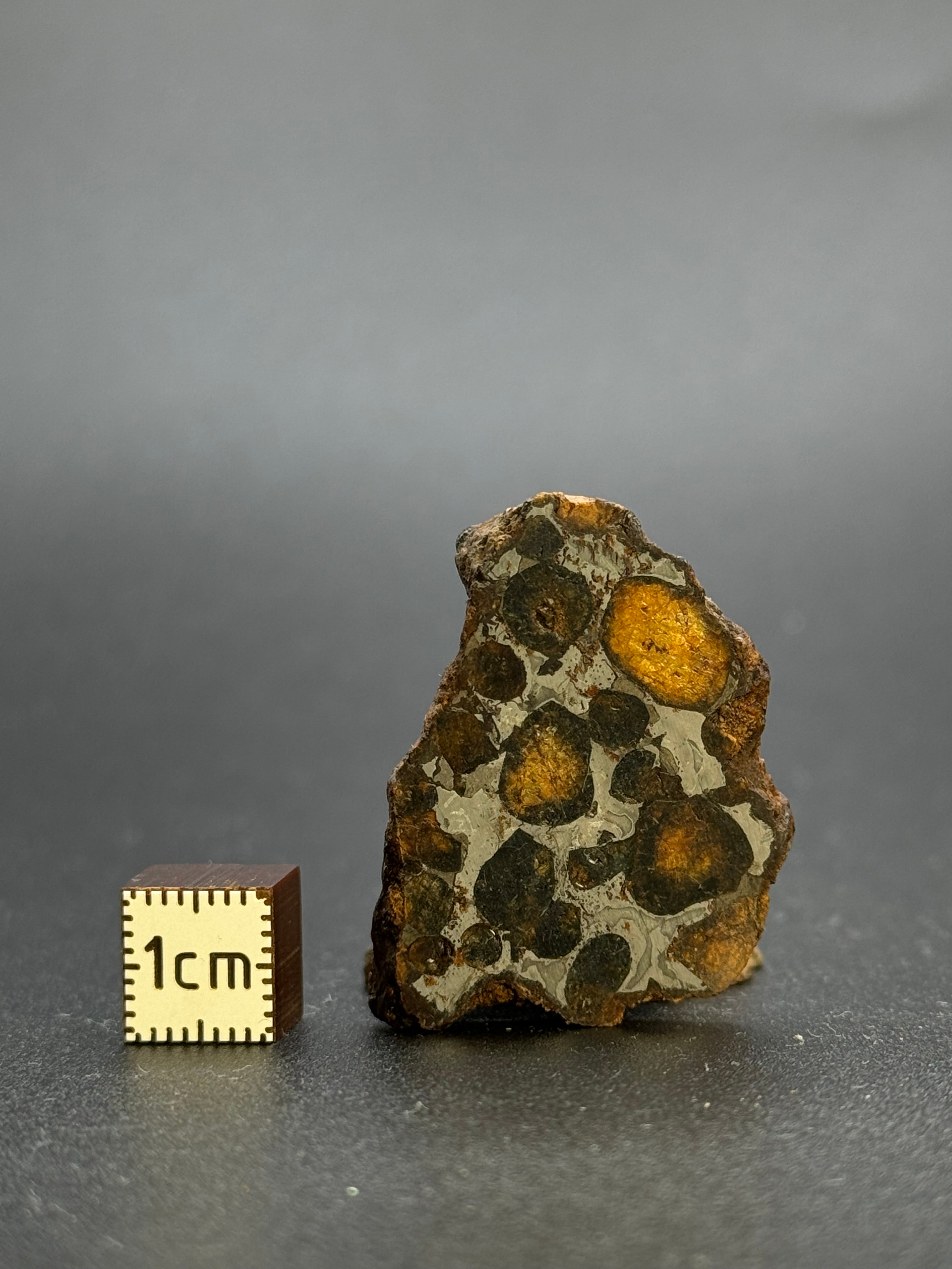 SERICHO PALLASITE METEORITE, KENYA. 19,78 GRAMS END-CUT