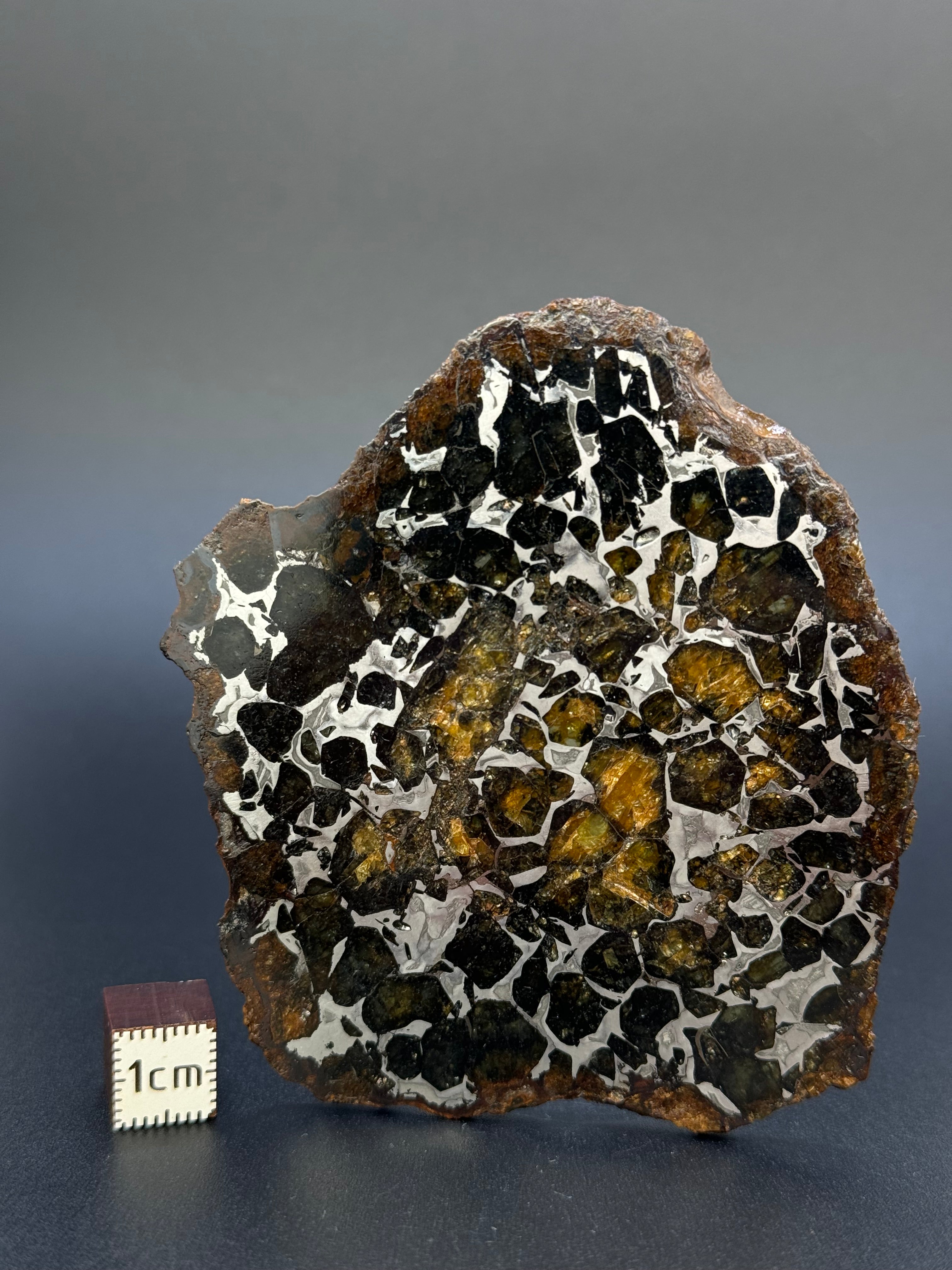 SEYMCHAN METEORITE, MAGADAN REGION, RUSSIA. 36,6 GRAMS SLICE.