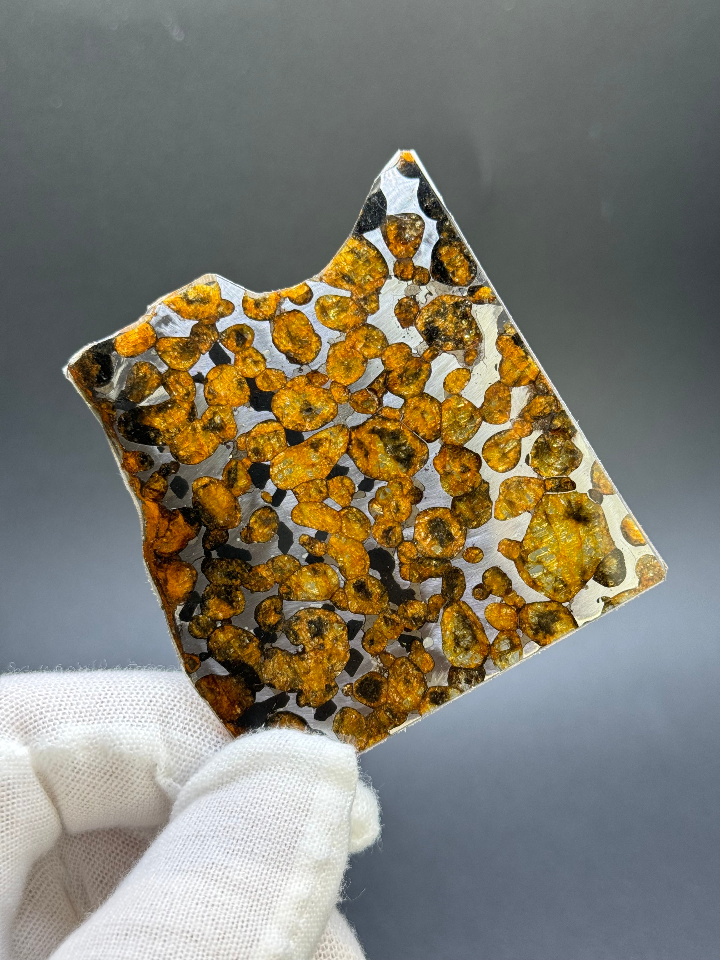 SERICHO METEORITE, KENYA. 19 GRAMS SLICE