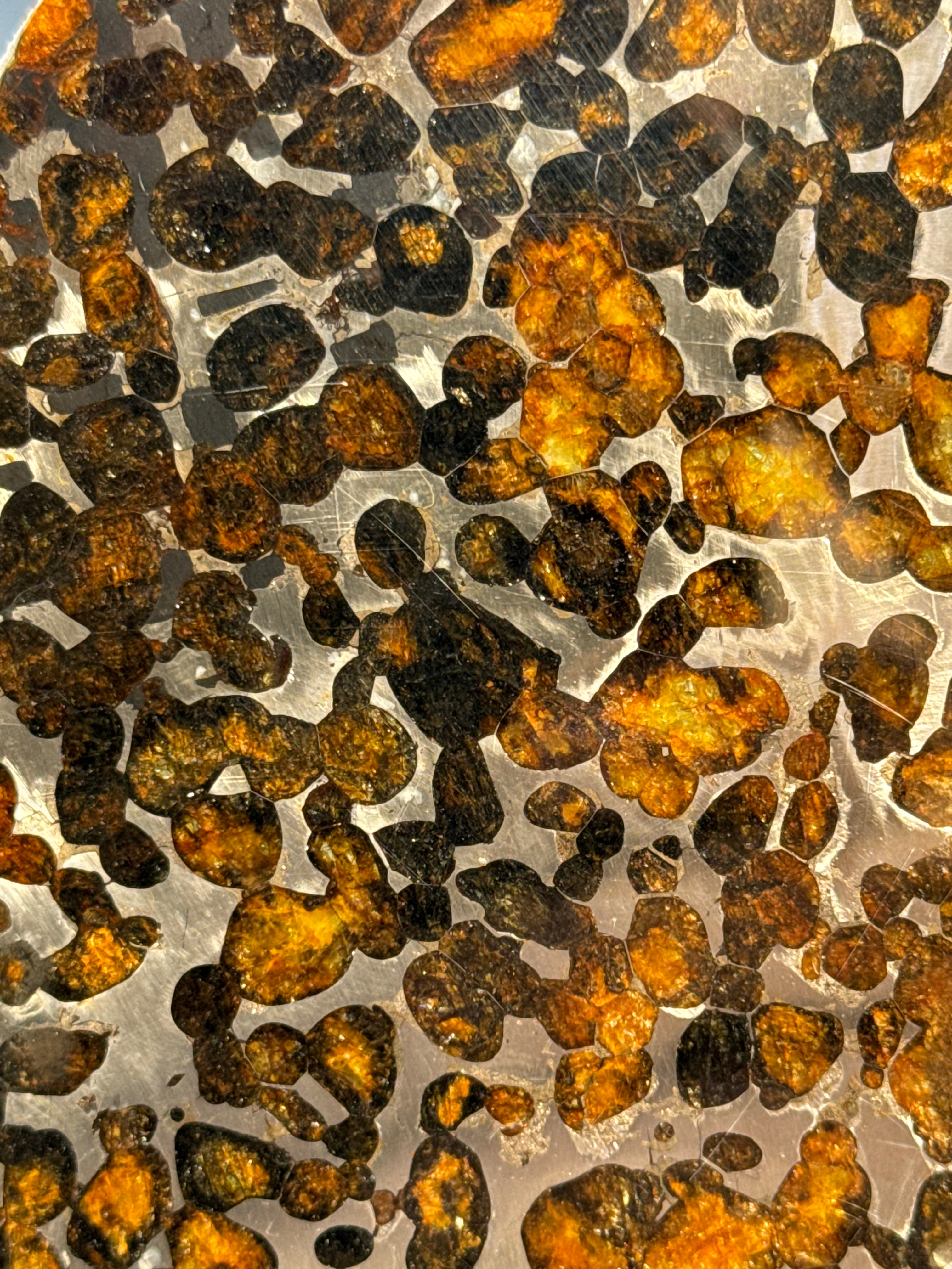 SERICHO METEORITE, KENYA. 73 GRAMS SLICE