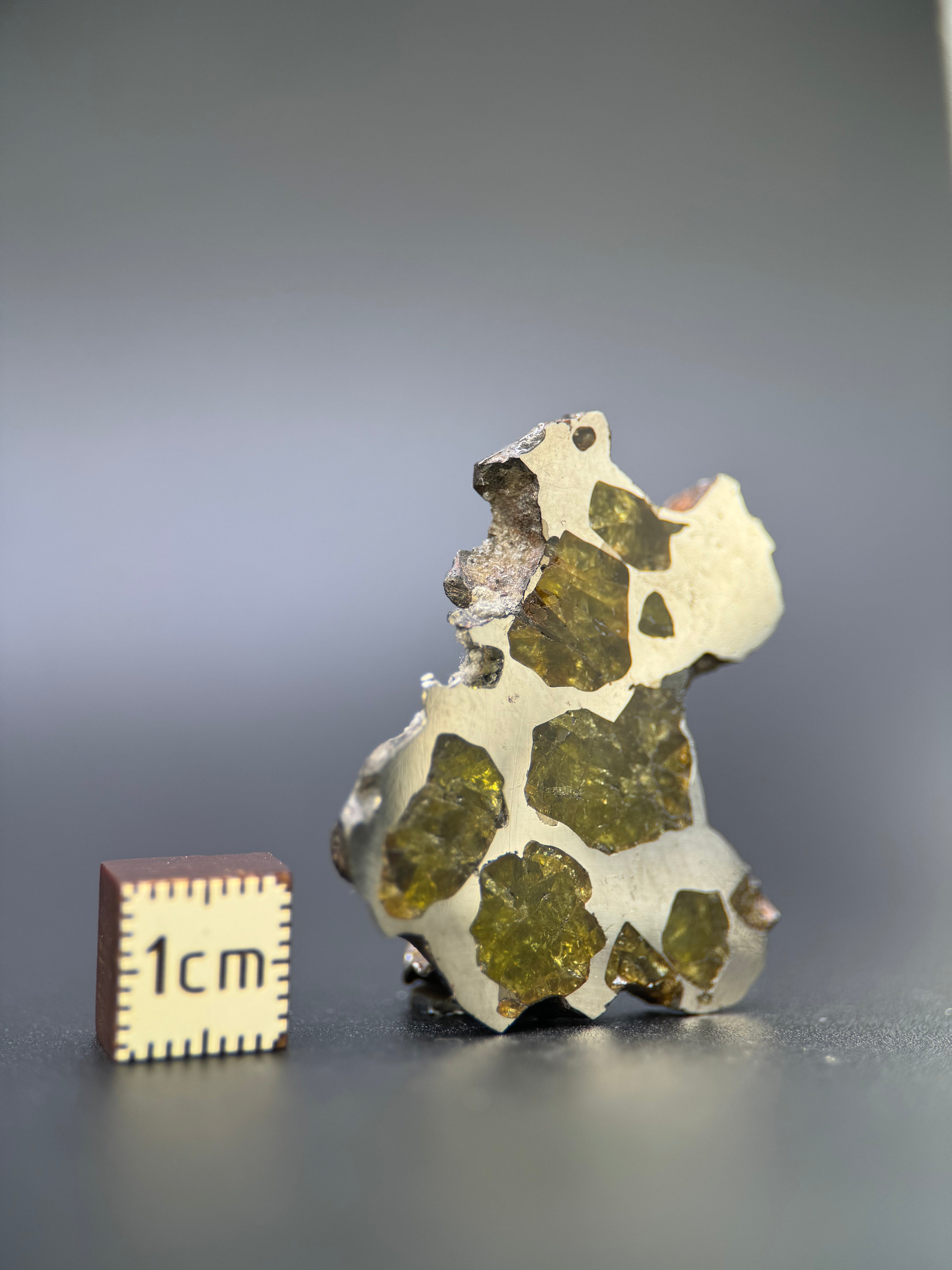 IMILAC PALLASITE METEORITE, CHILE. 12,56 GRAMS SLICE.