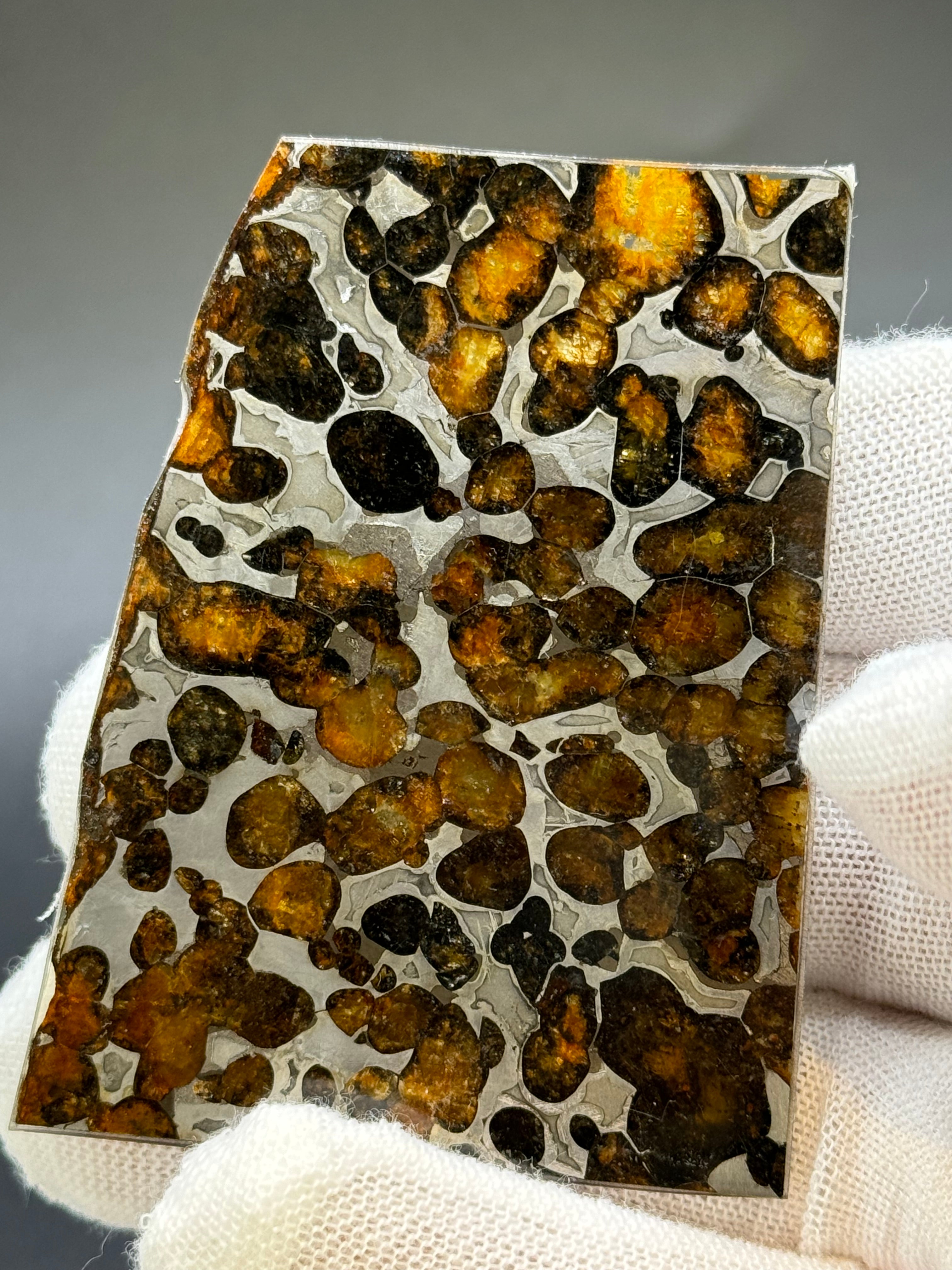 SERICHO METEORITE, KENYA. 22,40 GRAMS SLICE.