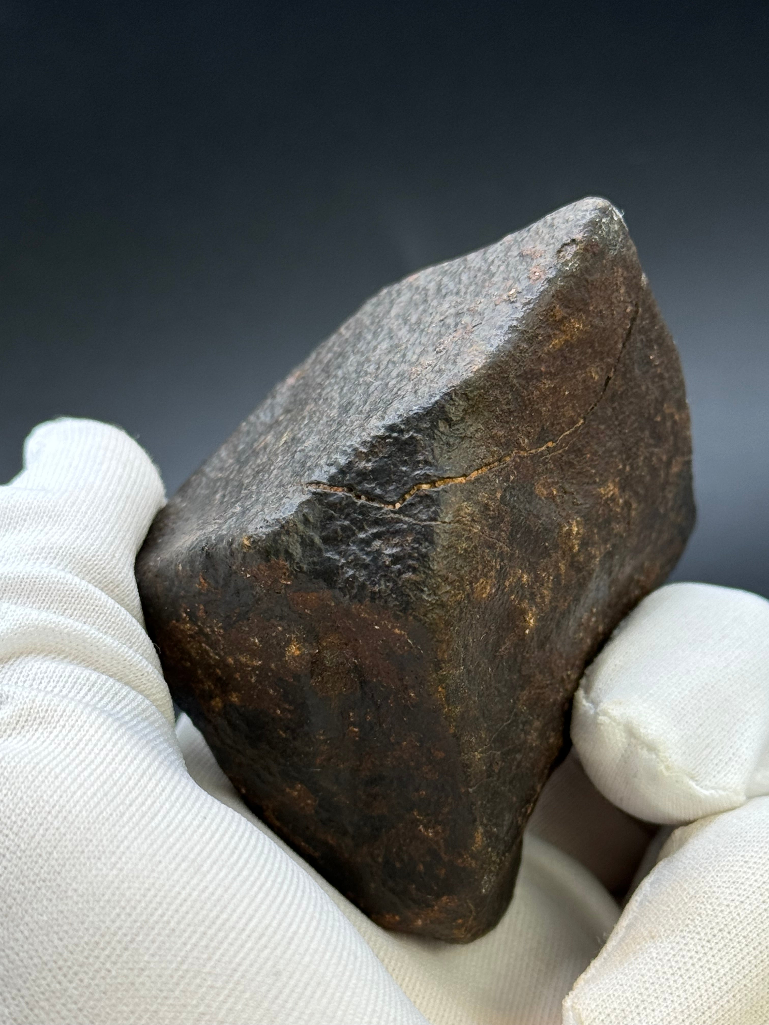 CHONDRITE METEORITE, NORTH WEST AFRICA. 263 GRAMS.