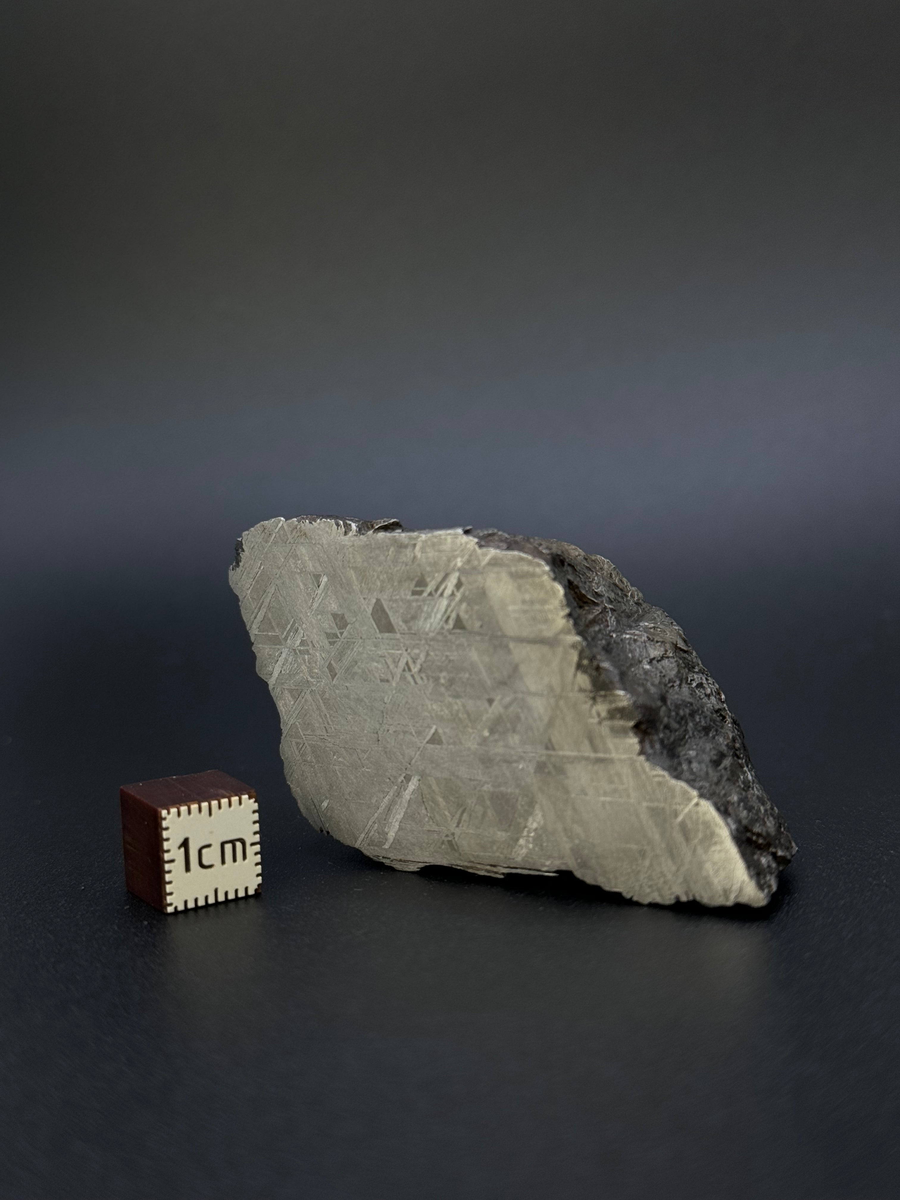 MUONIONALUSTA METEORITE, SWEDEN. 213 GRAMS END-CUT.