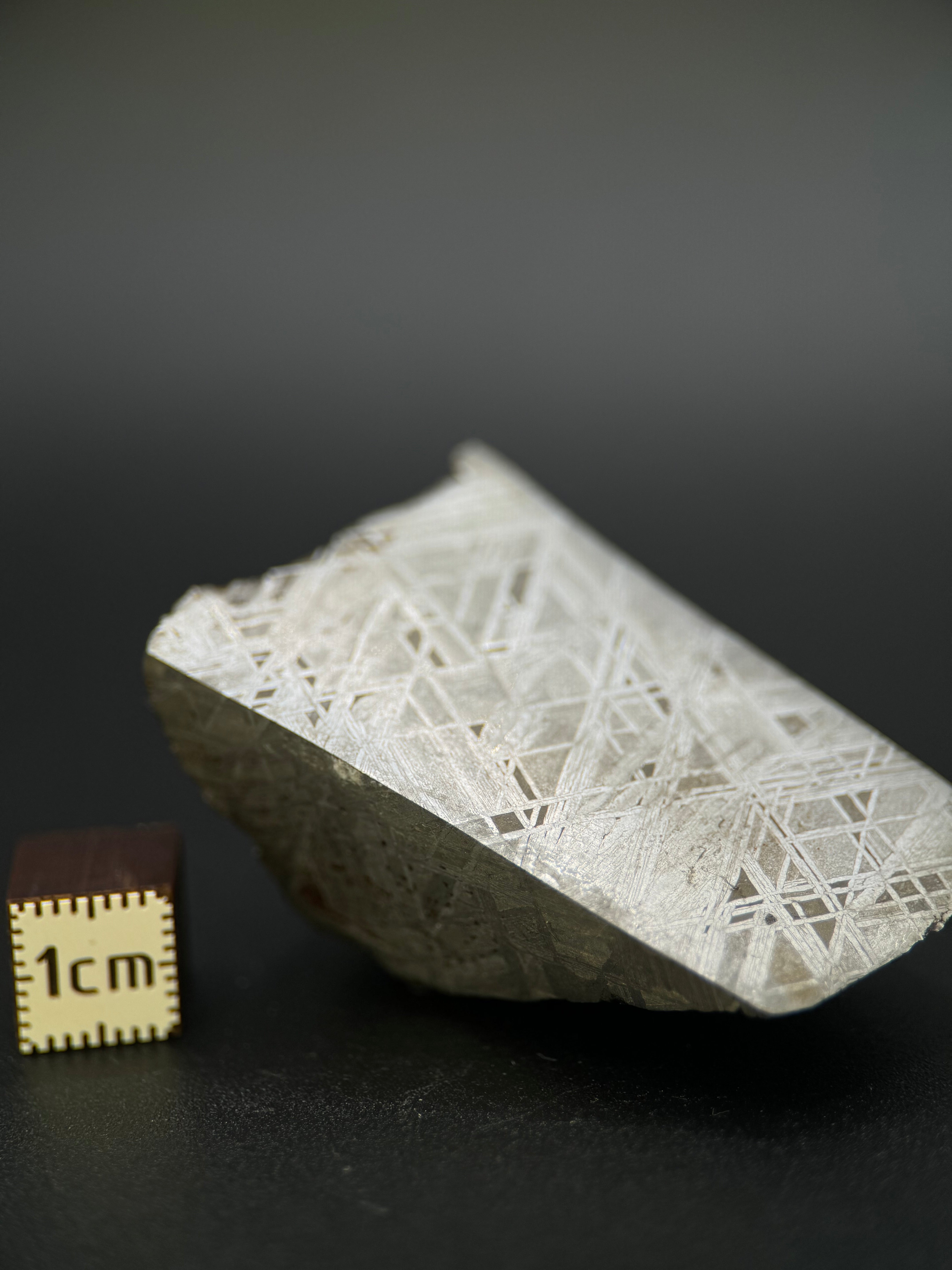 MUONIONALUSTA METEORITE, SWEDEN. 141,05 GRAMS END-CUT