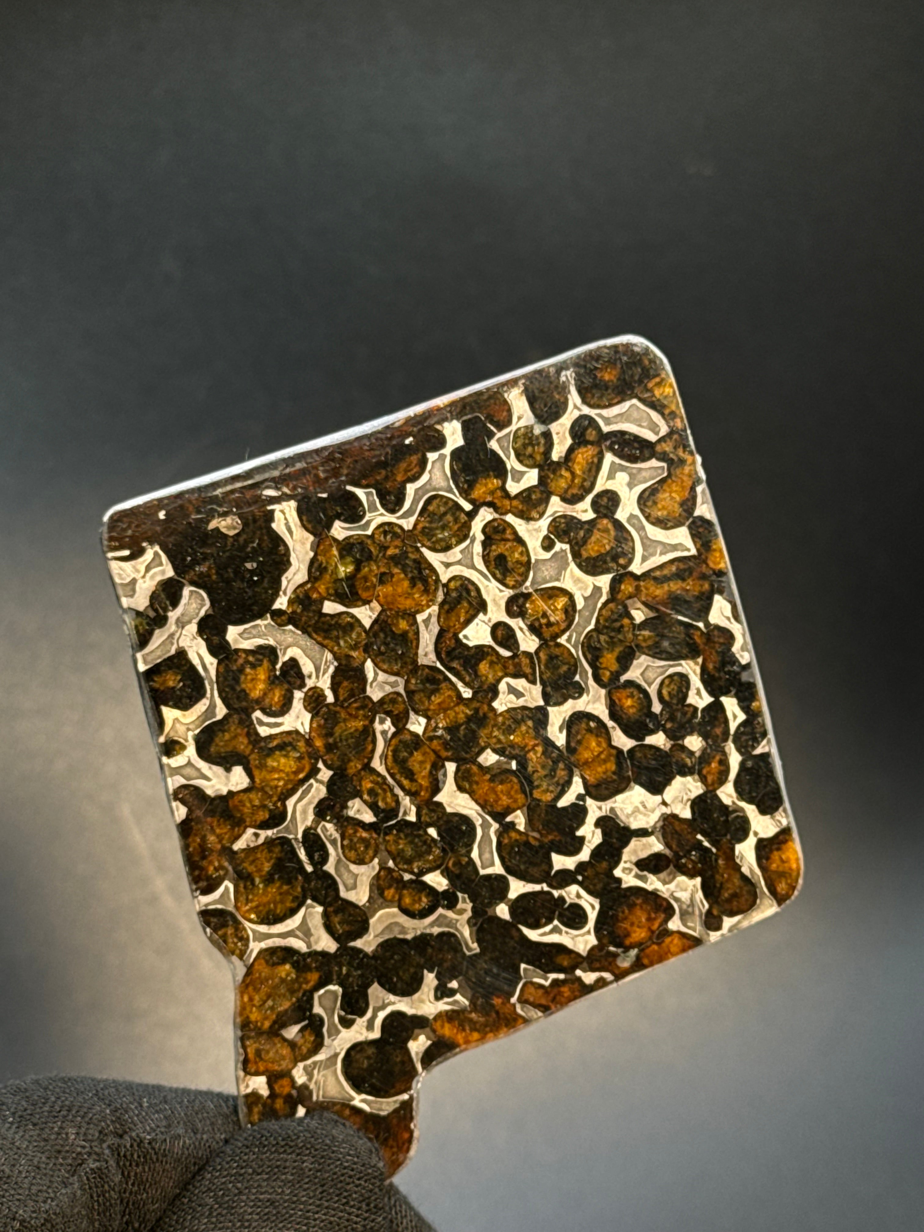 SERICHO METEORITE, KENYA. 30 GRAMS SLICE