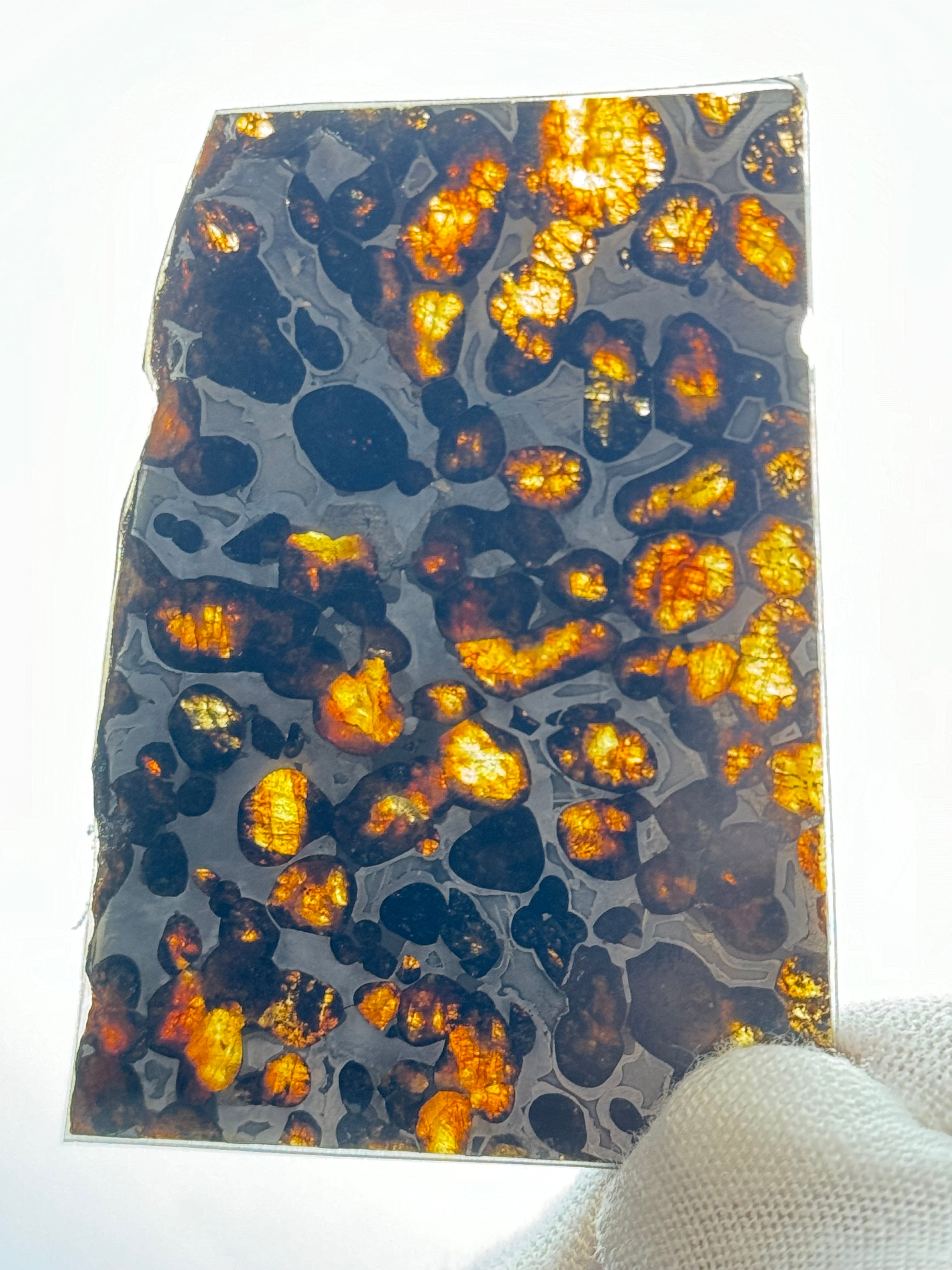 SERICHO METEORITE, KENYA. 22,40 GRAMS SLICE.