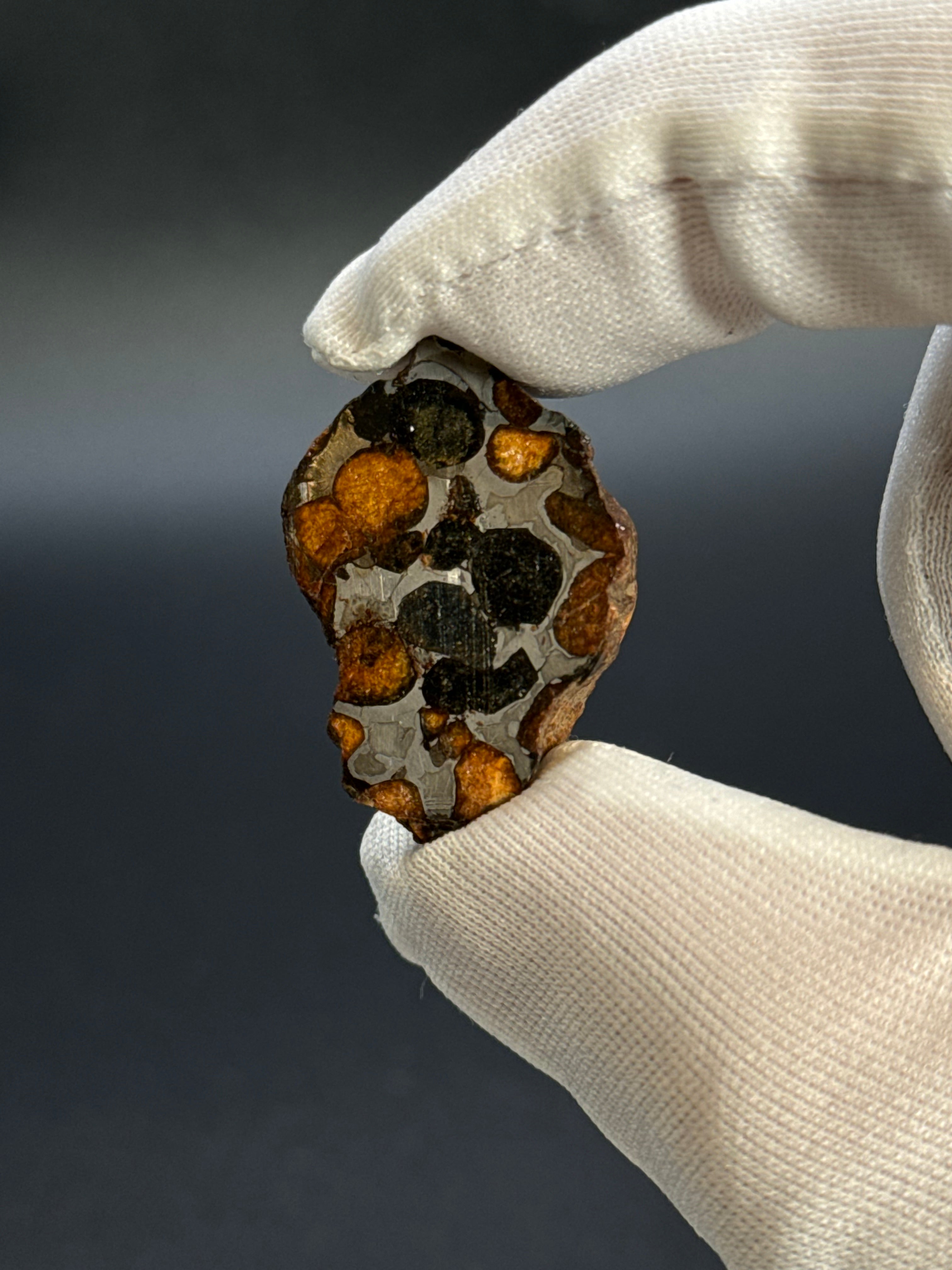 SERICHO PALLASITE METEORITE, KENYA. 10,40 GRAMS END-CUT