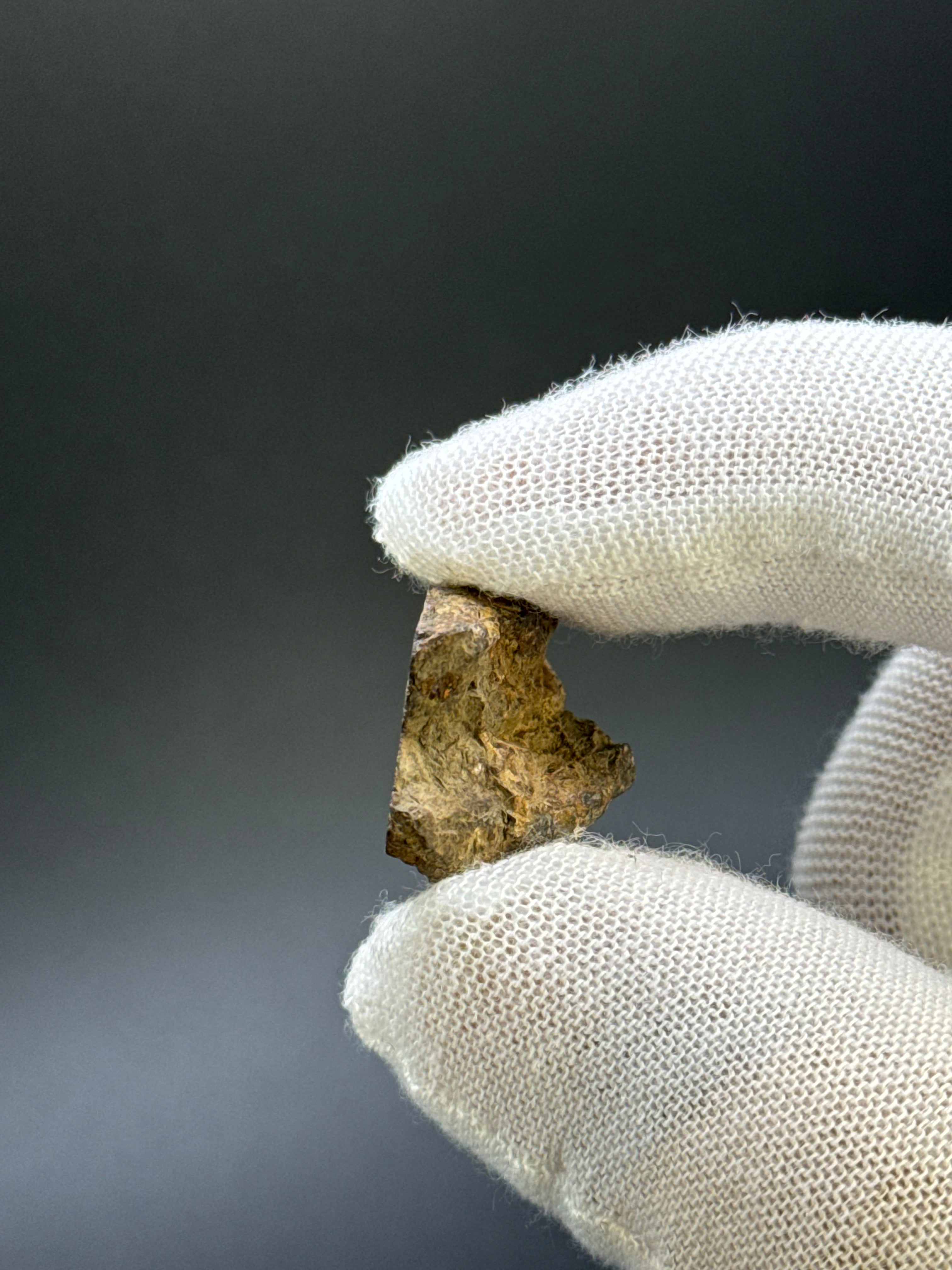 SERICHO PALLASITE METEORITE, KENYA. 13,49 GRAMS END-CUT