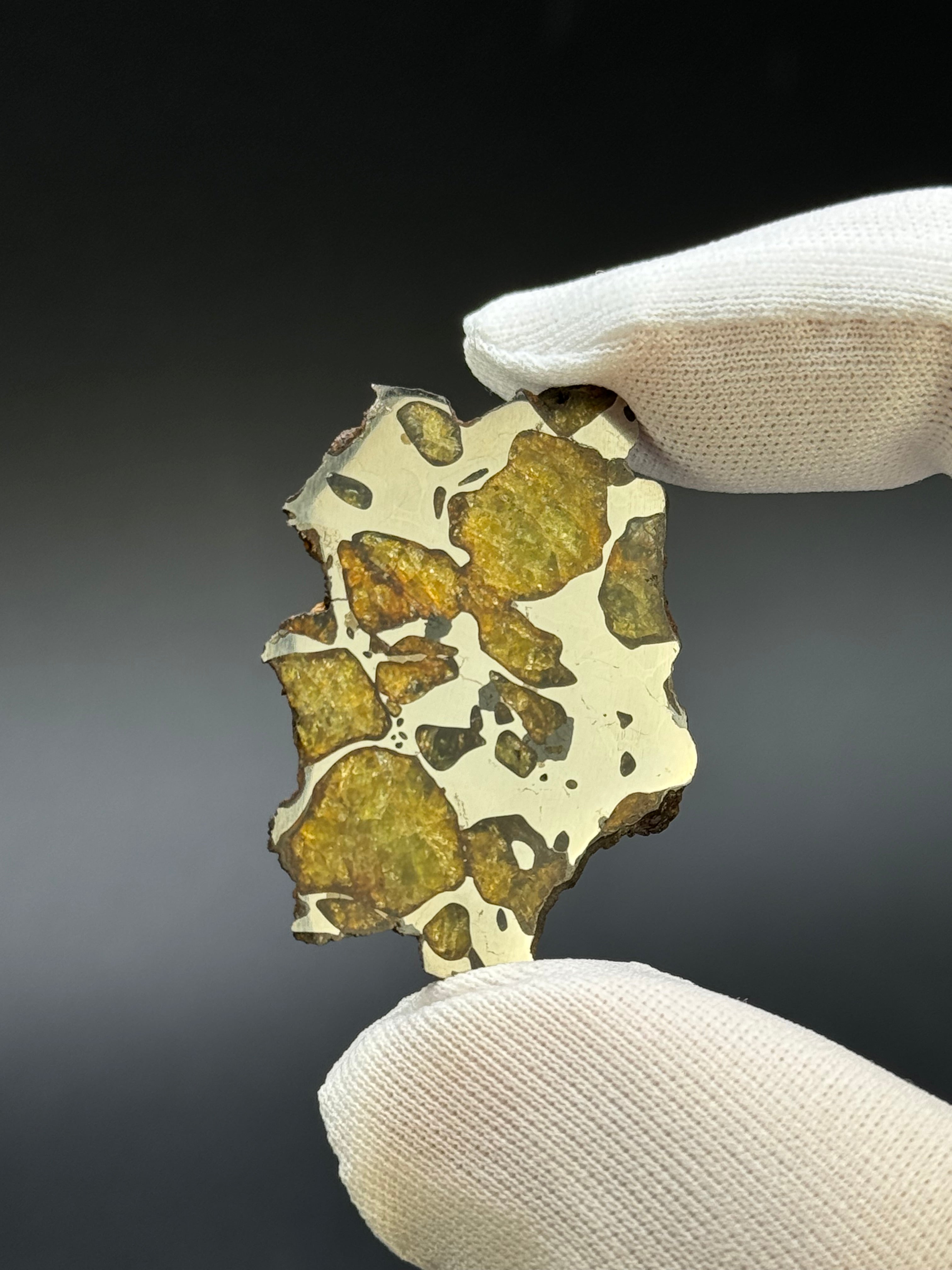 IMILAC PALLASITE METEORITE, CHILE. 7,38 GRAMS