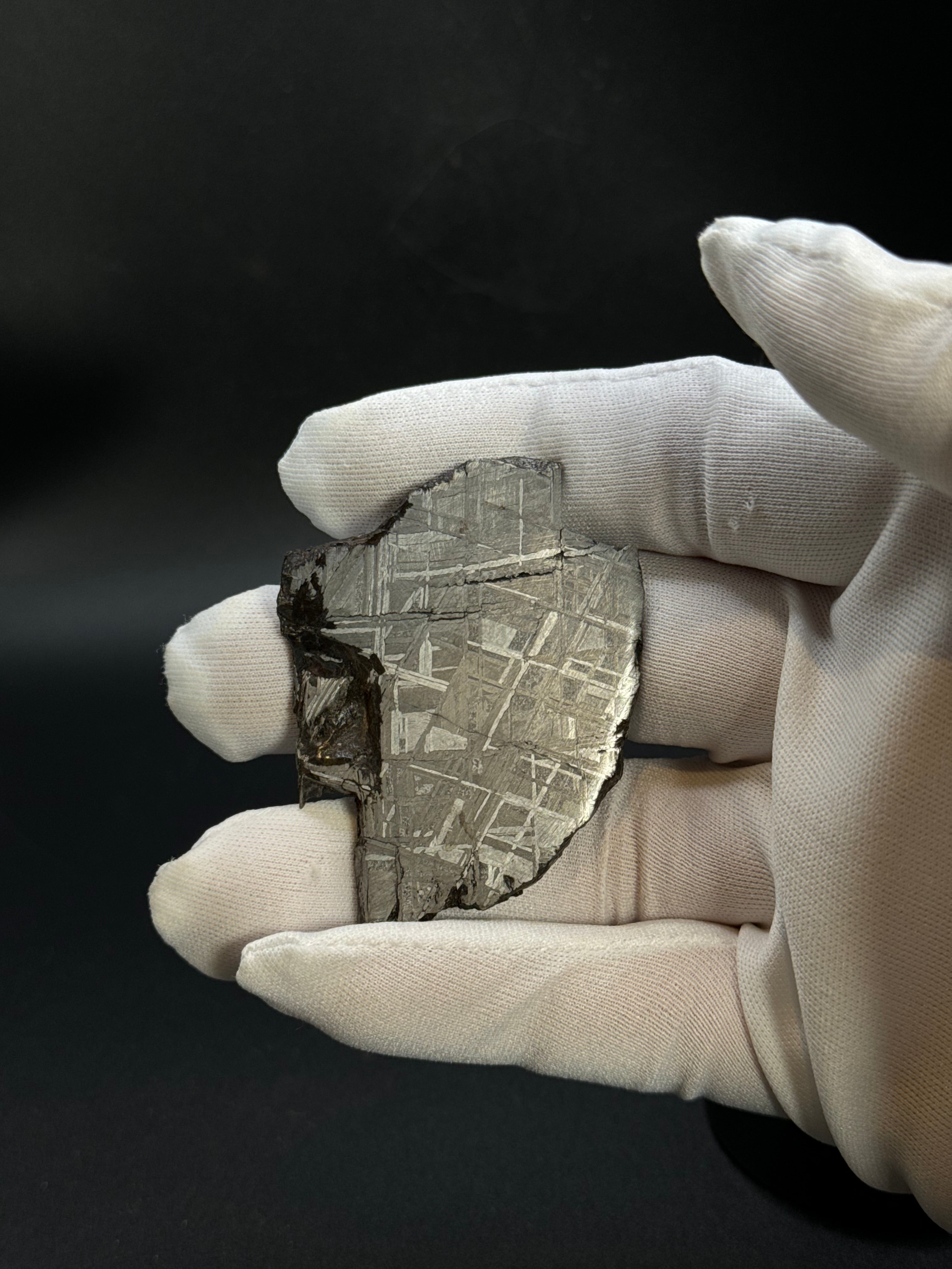 MUONIONALUSTA METEORITE, SWEDEN. 44,09 GRAMS.