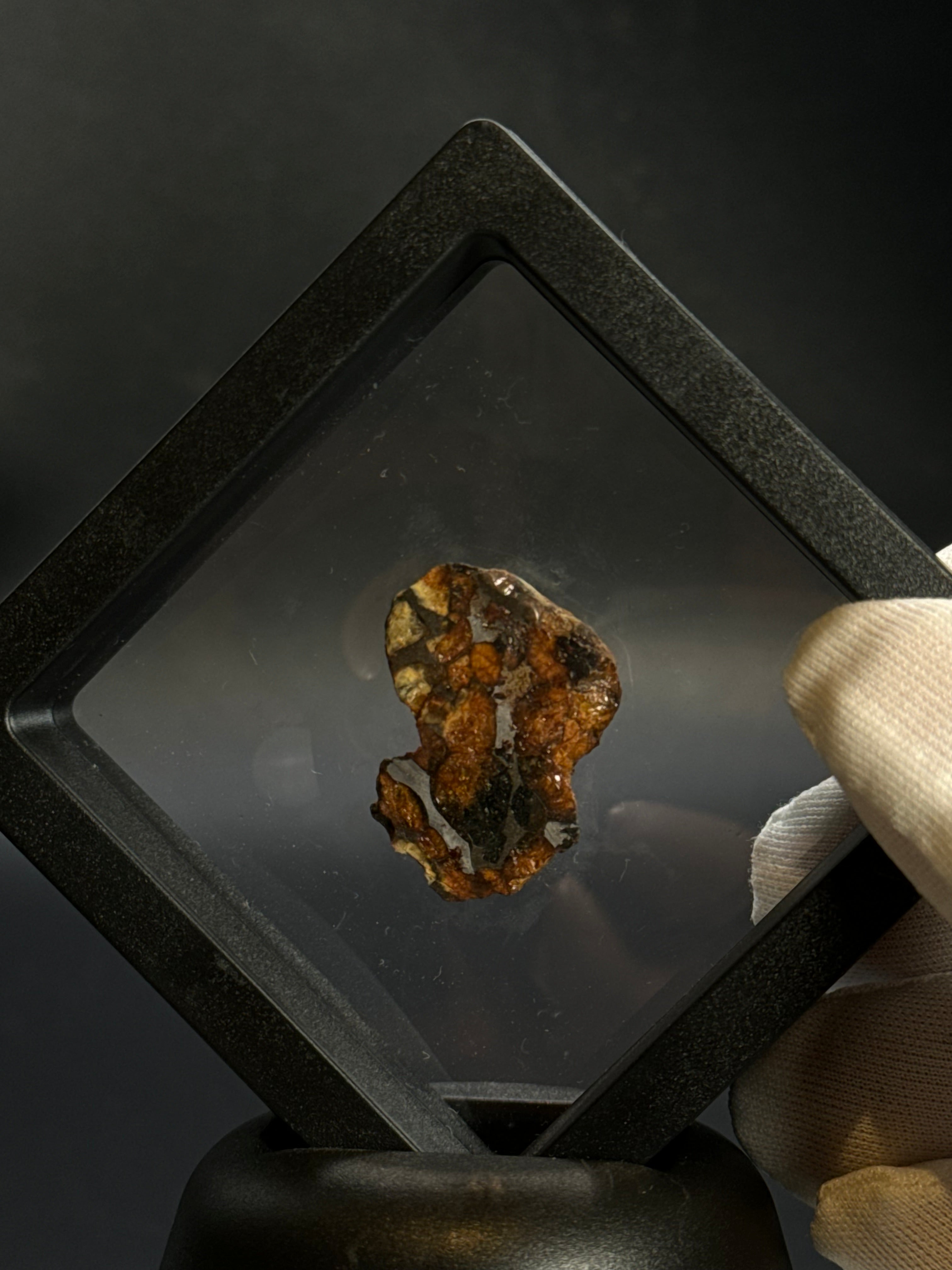SERICHO PALLASITE METEORITE, KENYA. 7,7 GRAMS END-CUT