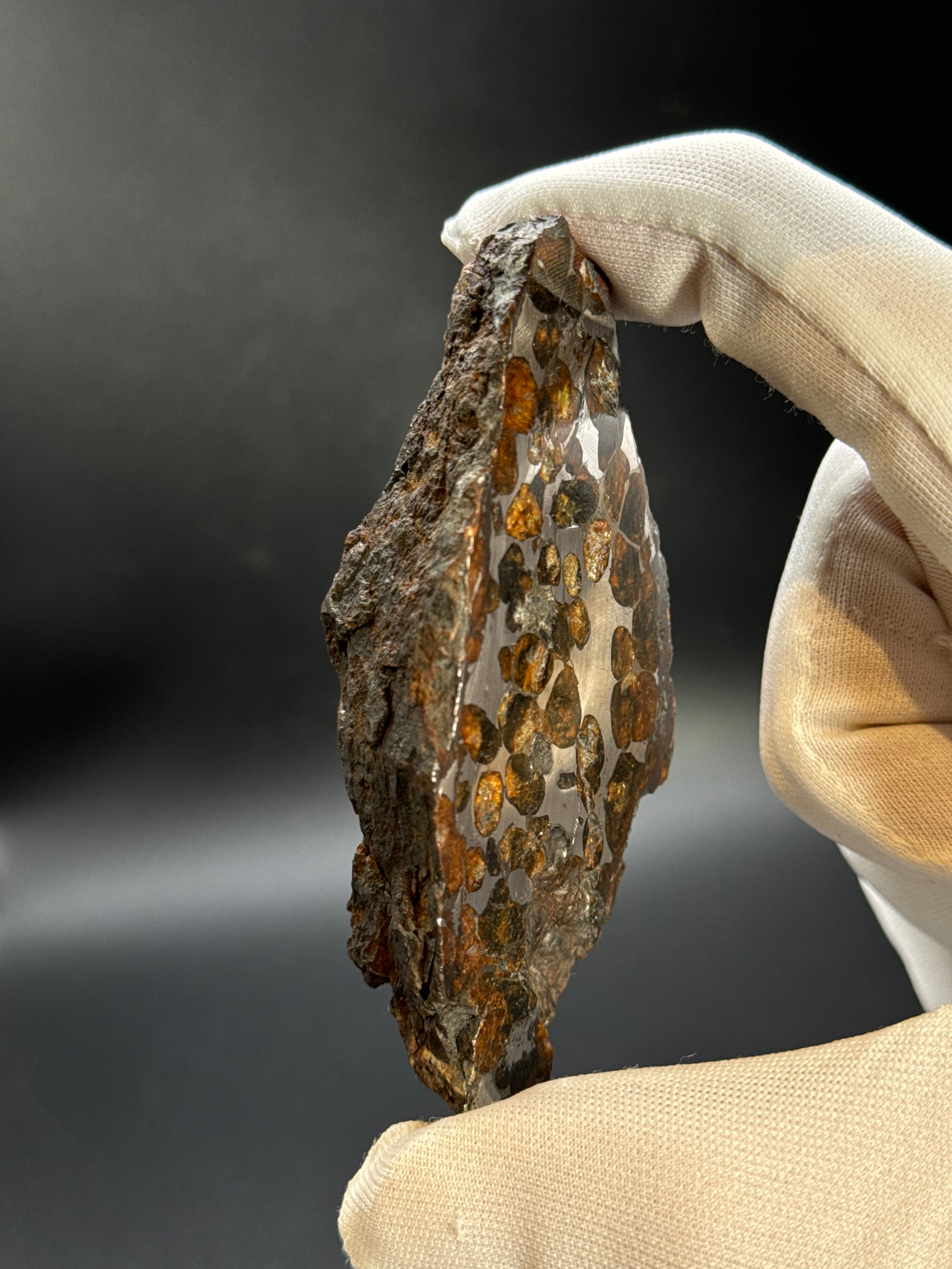 Sericho pallasite meteorite, Kenya. 180,4 grams end-cut.