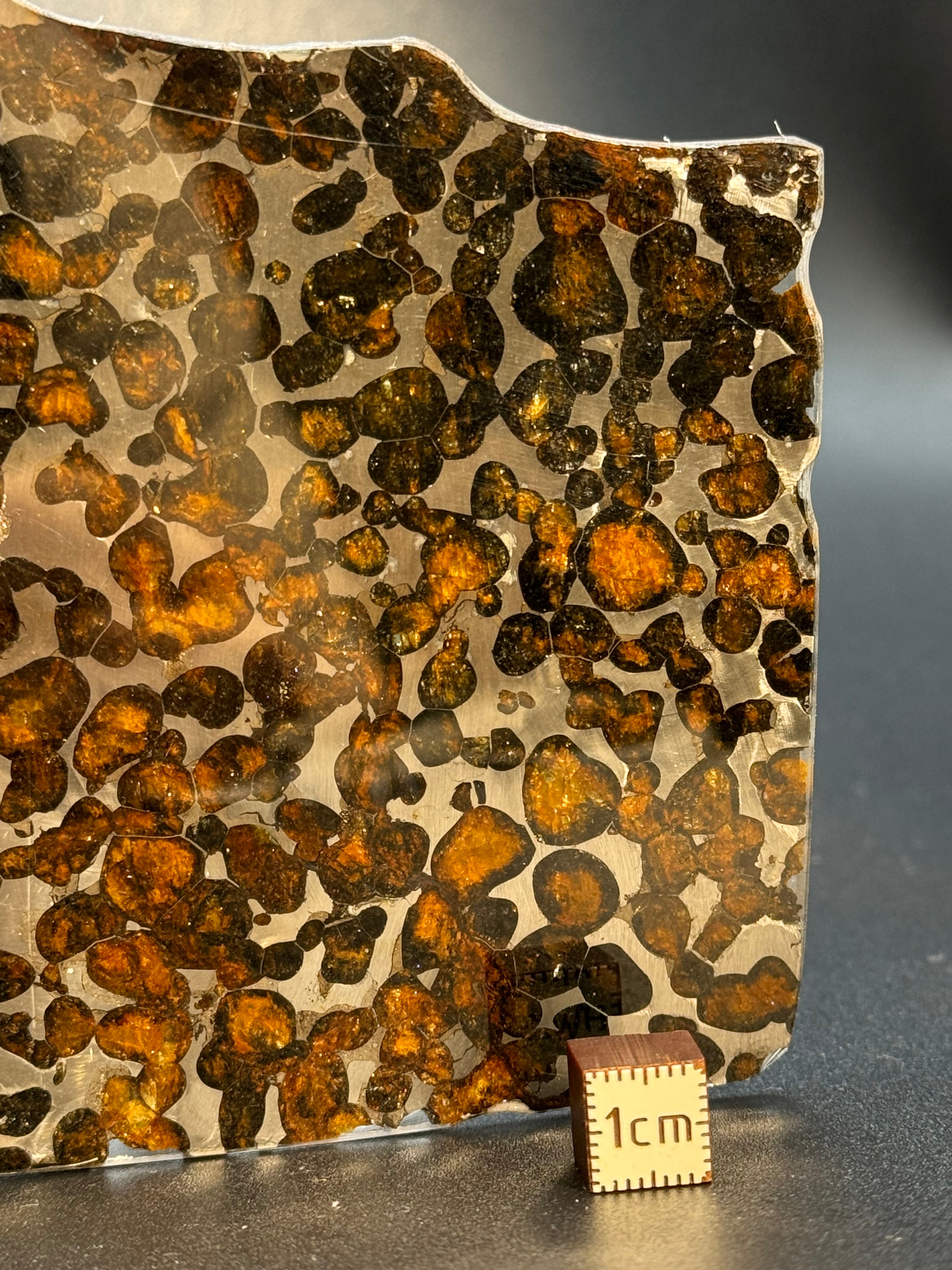 SERICHO METEORITE, KENYA. 66 GRAMS SLICE