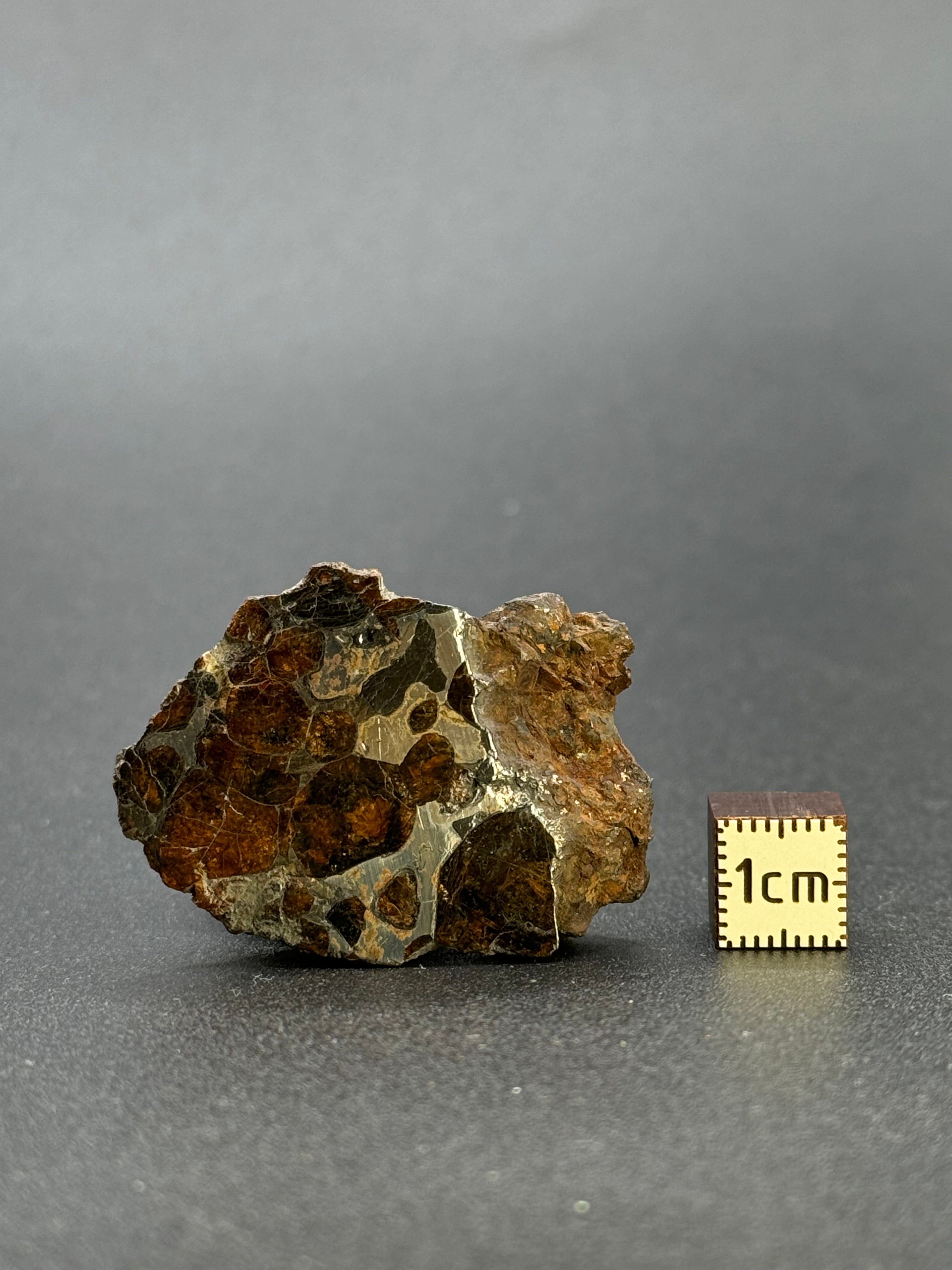 SERICHO PALLASITE METEORITE, KENYA. 24,94 GRAMS END-CUT
