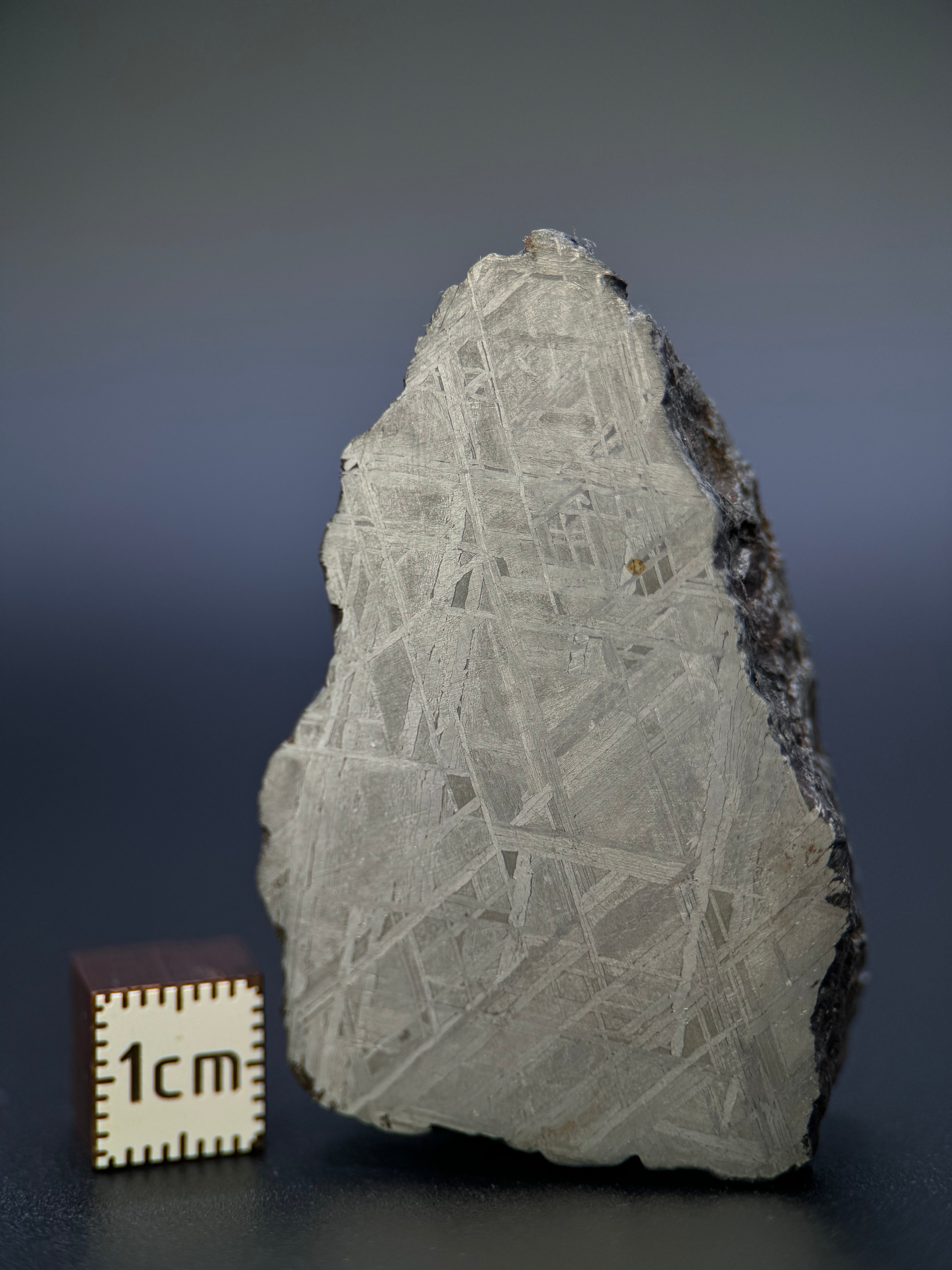 MUONIONALUSTA METEORITE, SWEDEN. 129,8 GRAMS END-CUT